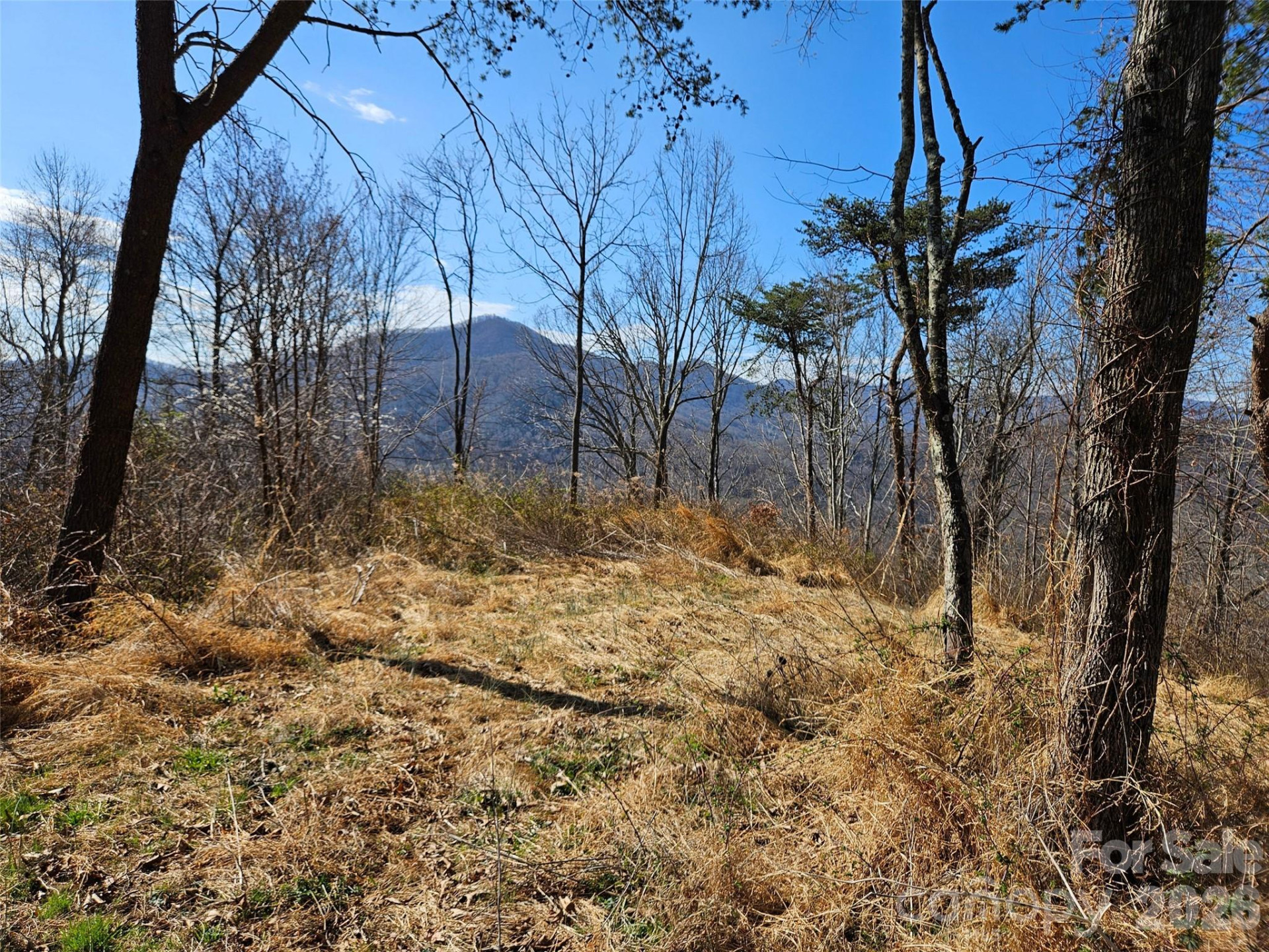 989 High Rock View Drive - Photo 12