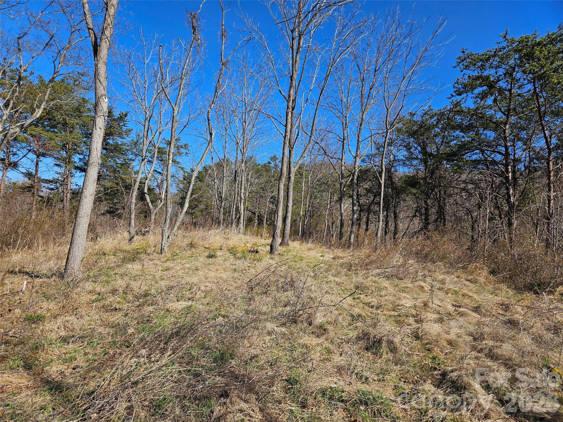 989 High Rock View Drive - Photo 13