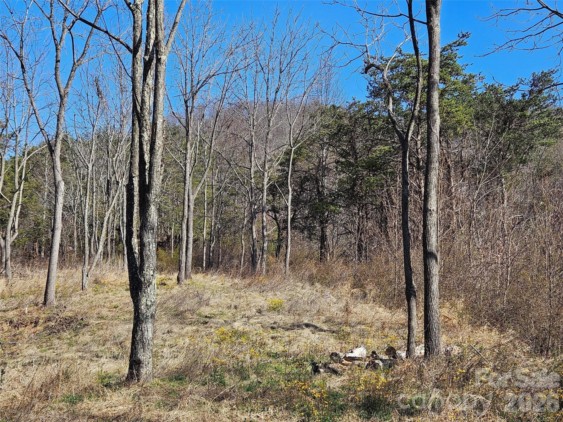 989 High Rock View Drive - Photo 14