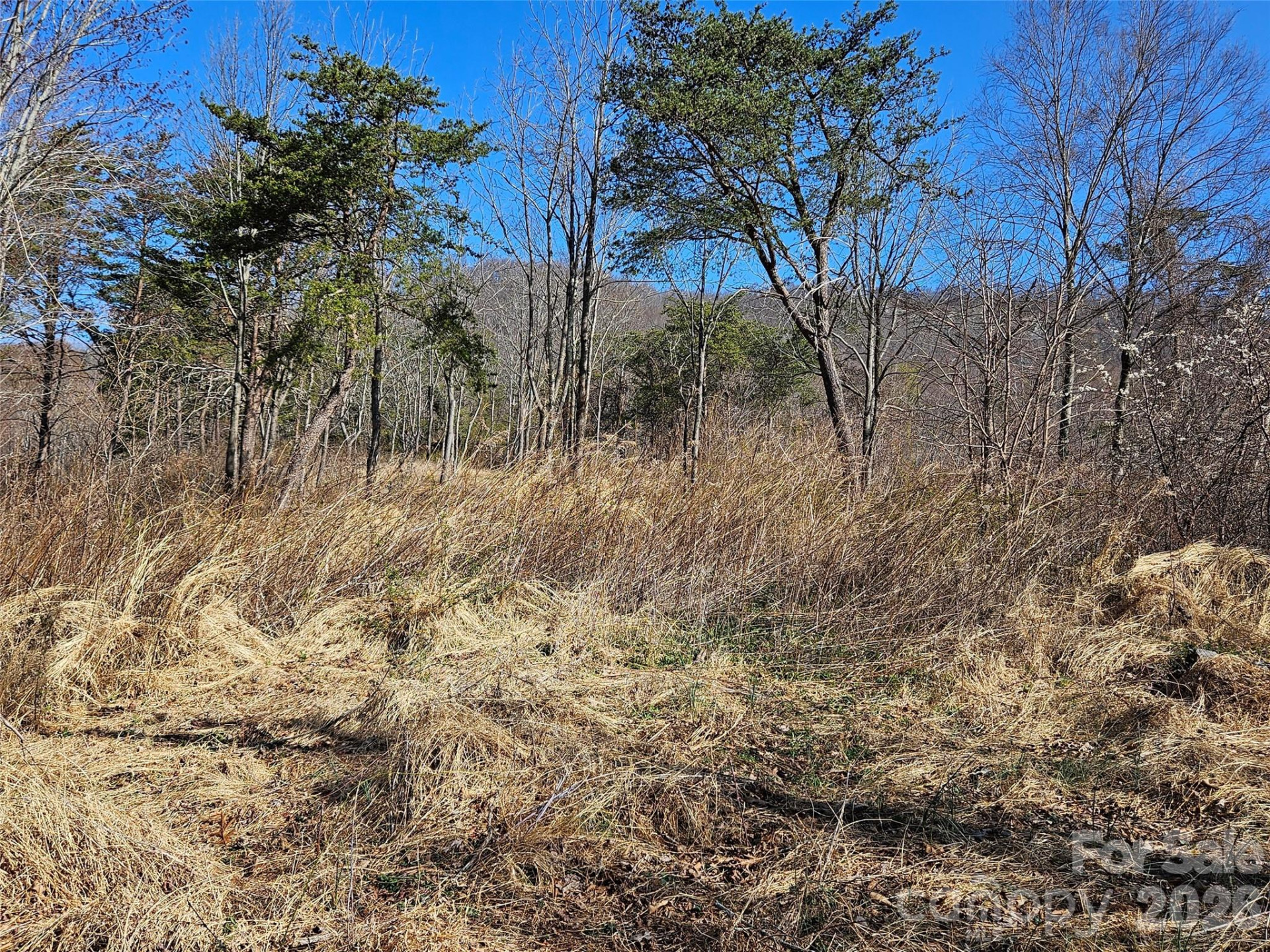 989 High Rock View Drive - Photo 15