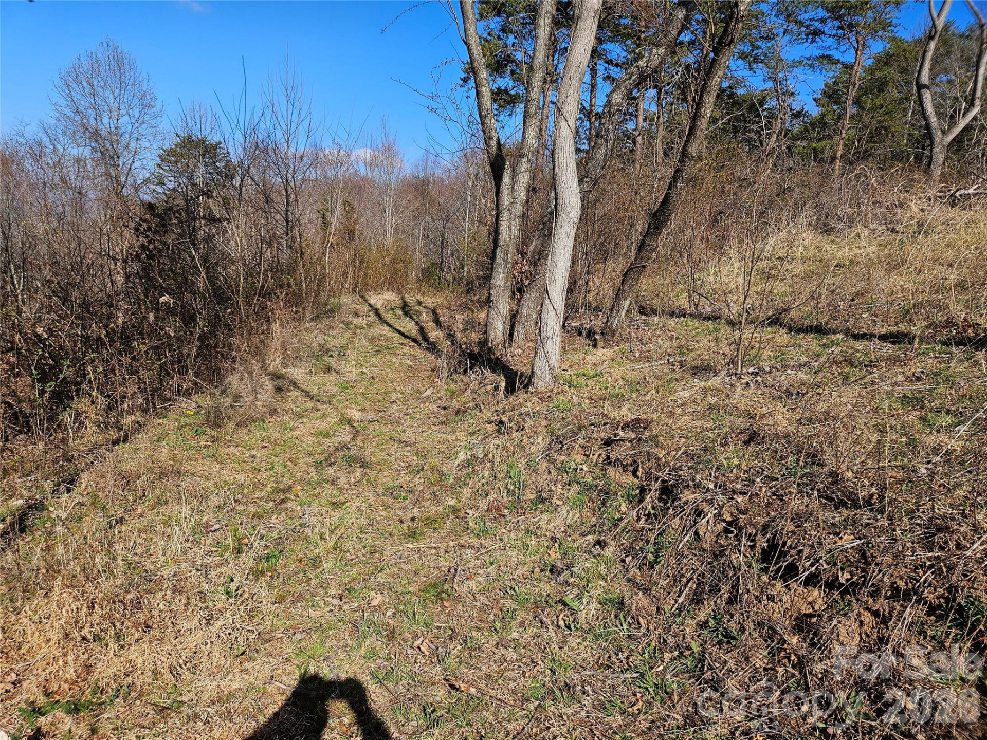 989 High Rock View Drive - Photo 16