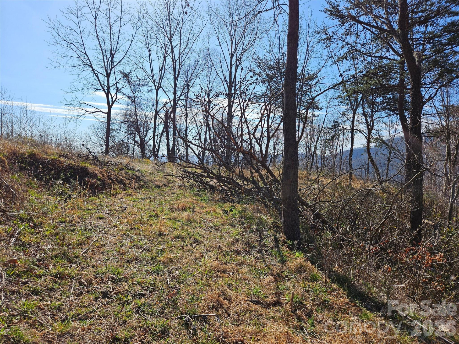 989 High Rock View Drive - Photo 17