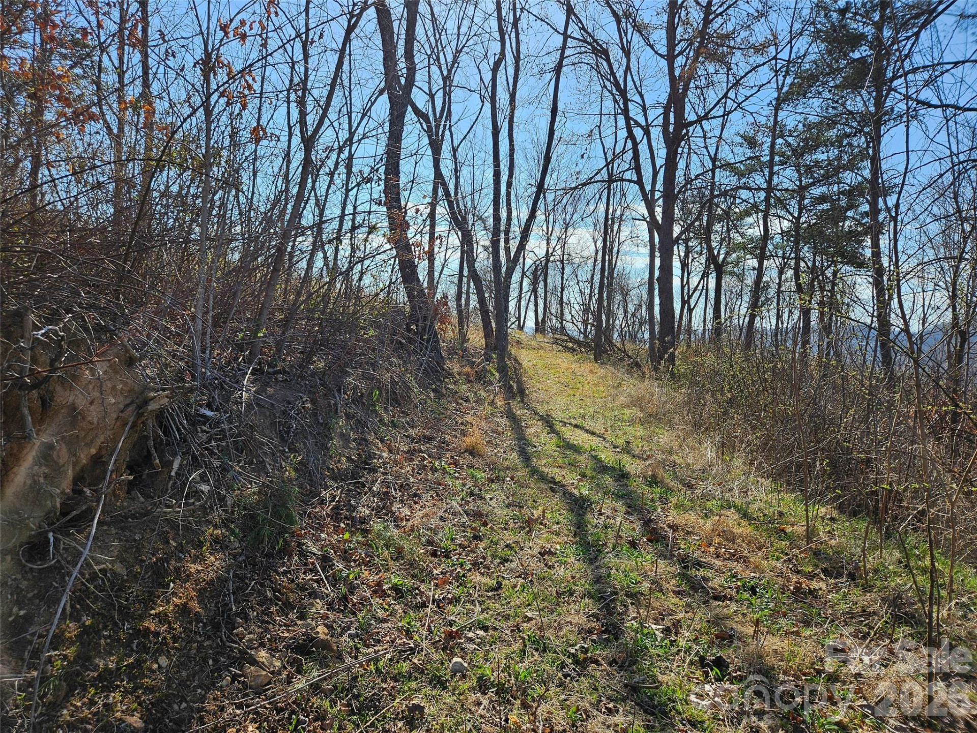 989 High Rock View Drive - Photo 18