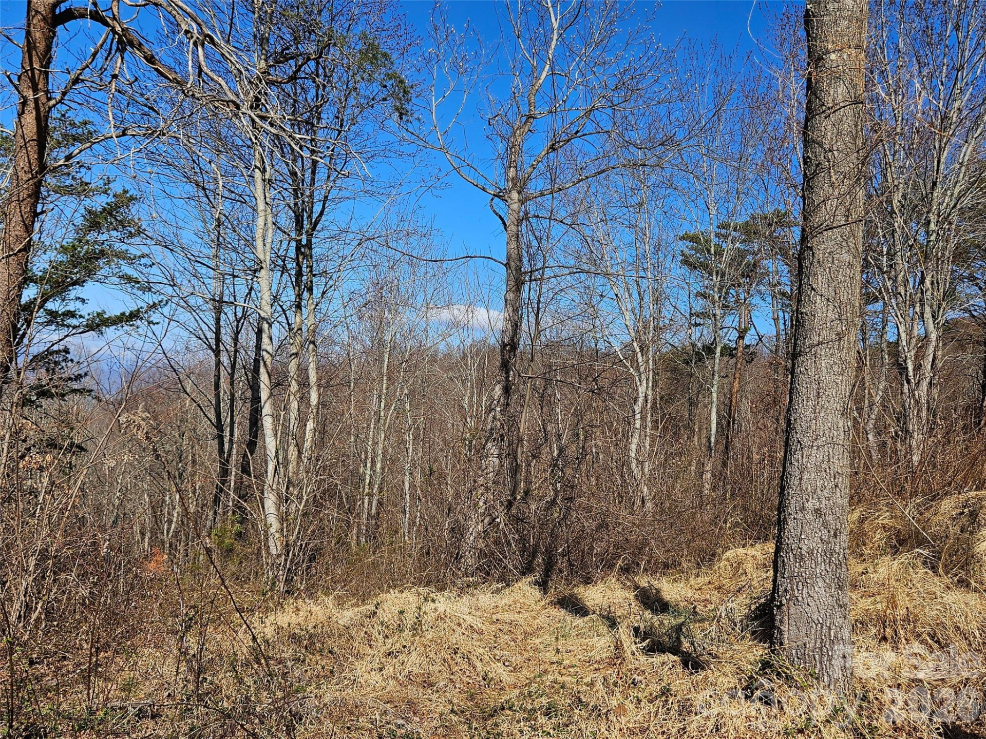 989 High Rock View Drive - Photo 19