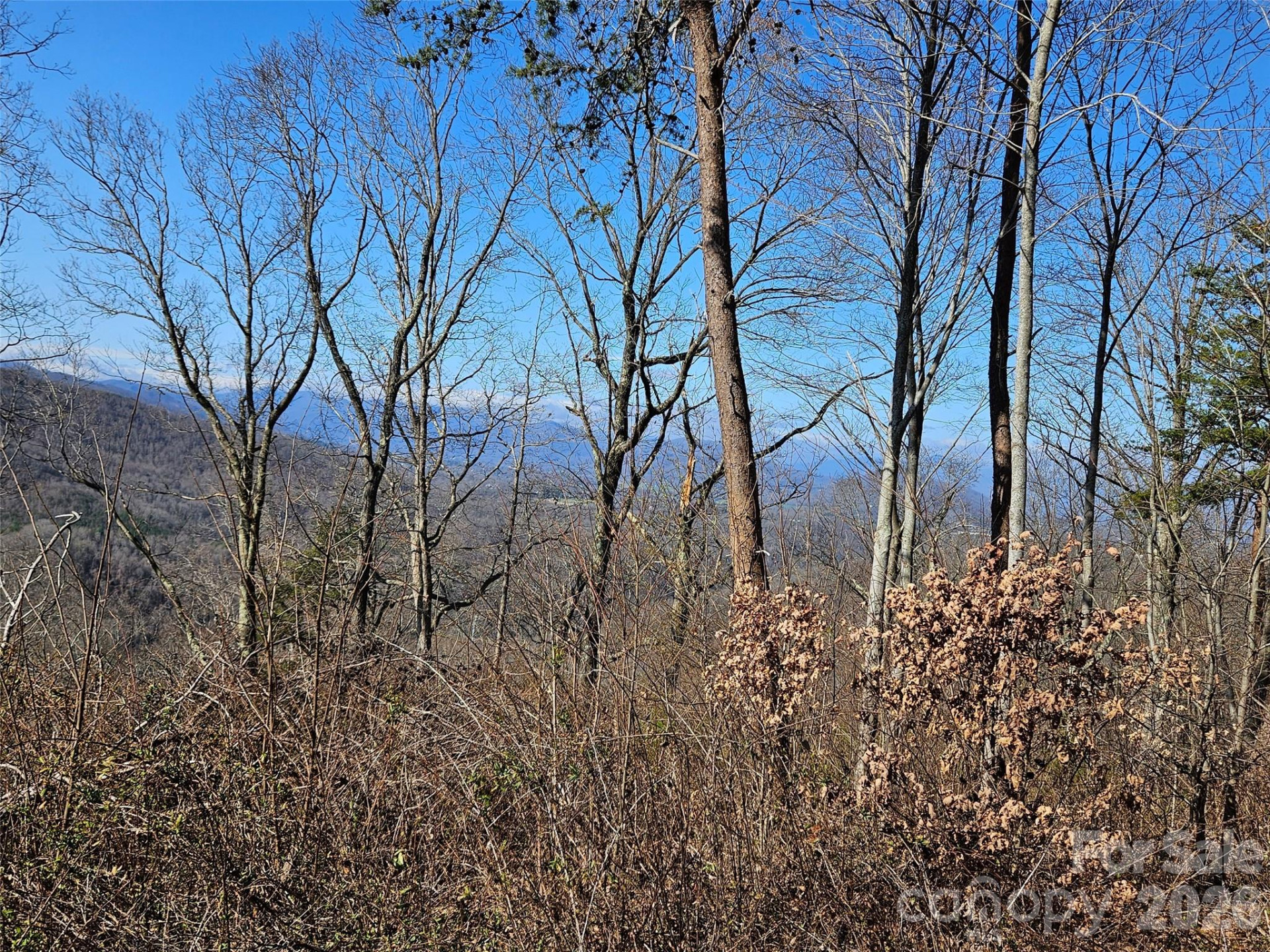 989 High Rock View Drive - Photo 21