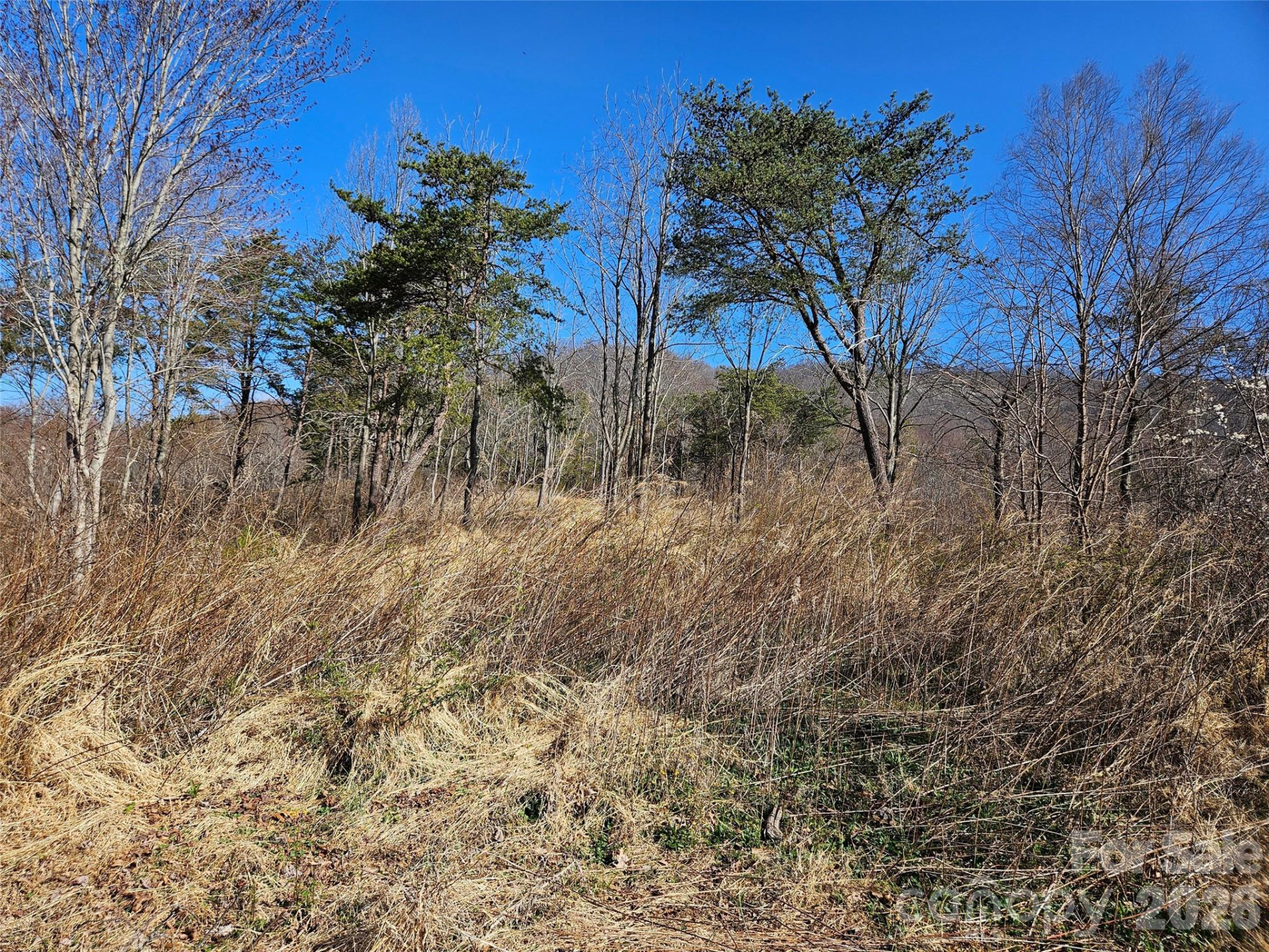 989 High Rock View Drive - Photo 23