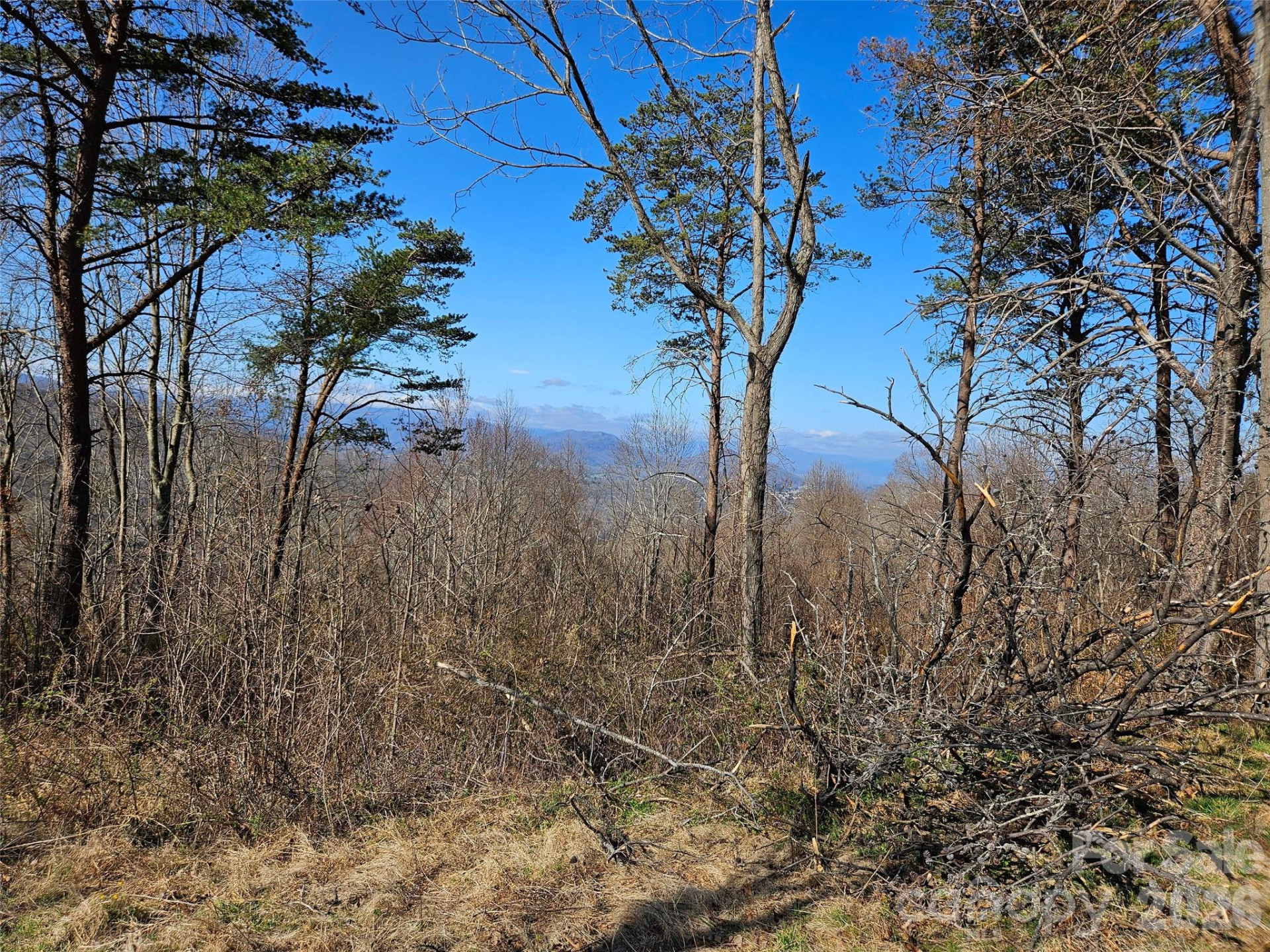 989 High Rock View Drive - Photo 24