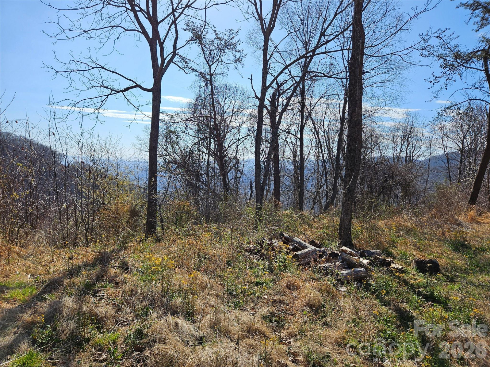 989 High Rock View Drive - Photo 5