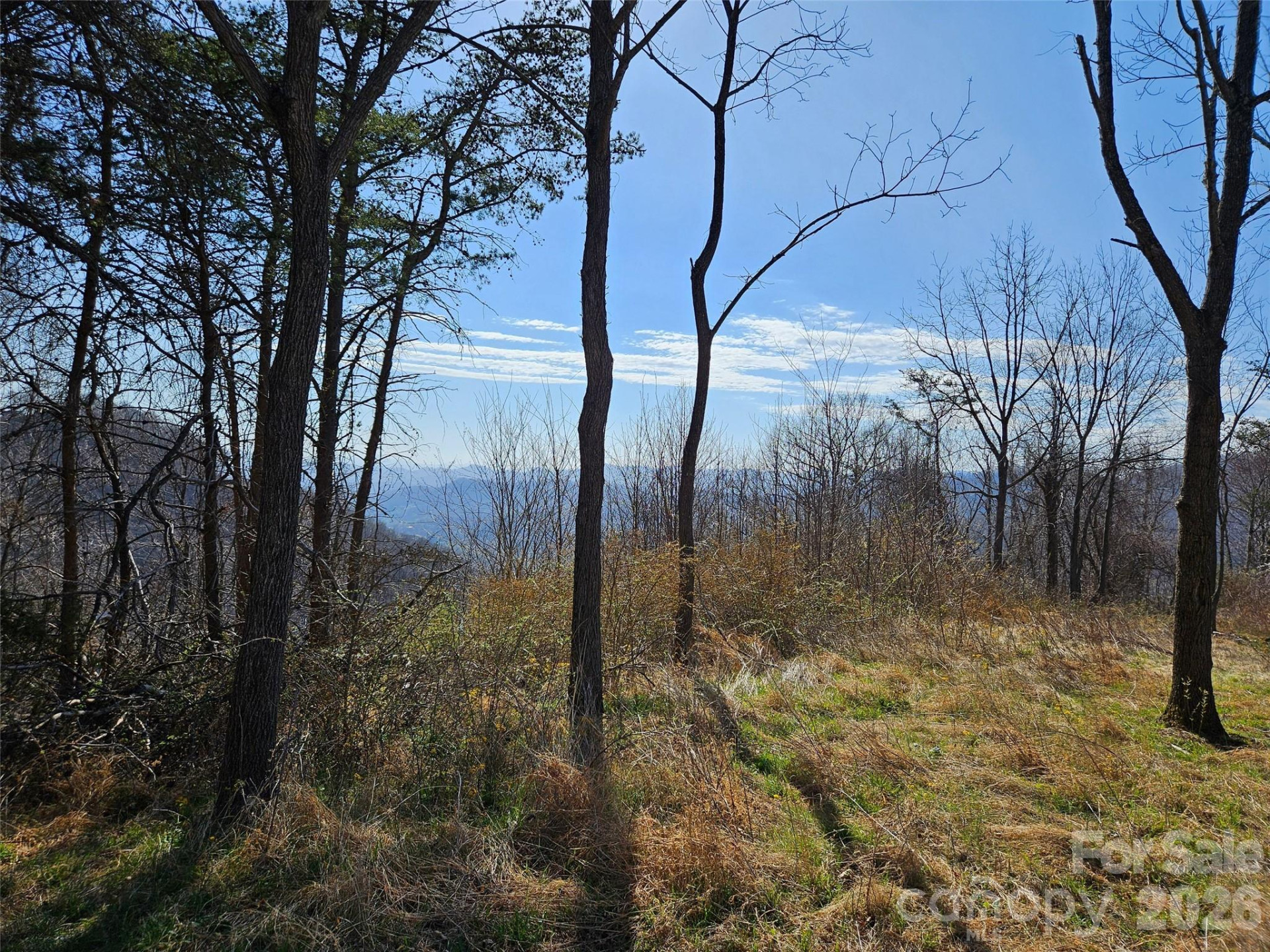 989 High Rock View Drive - Photo 8