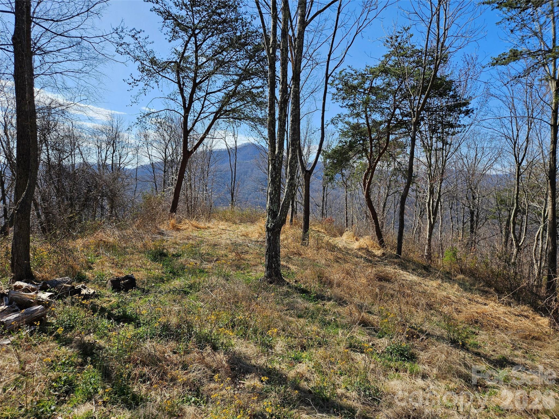 989 High Rock View Drive - Photo 9