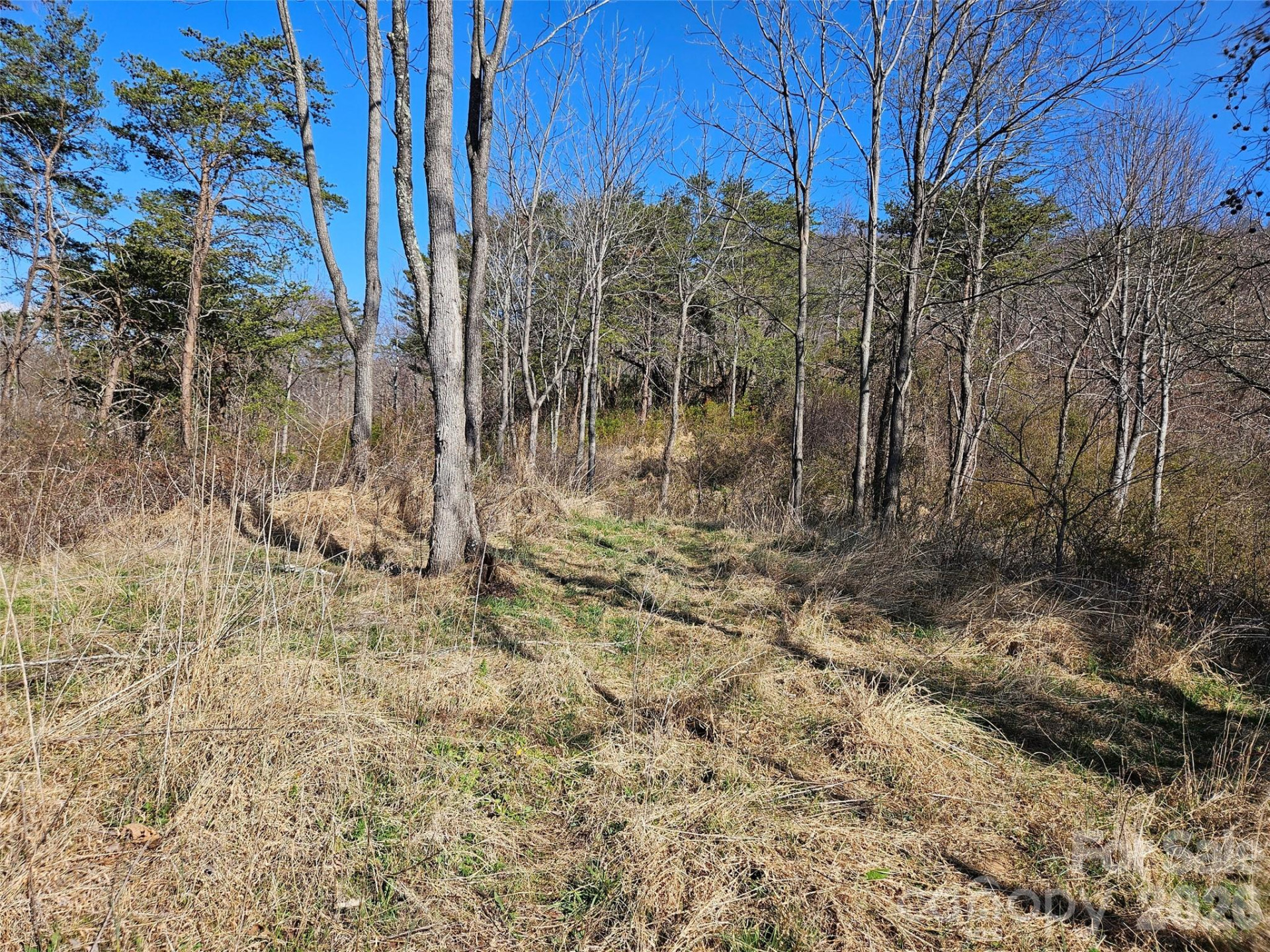 989 High Rock View Drive - Photo 10