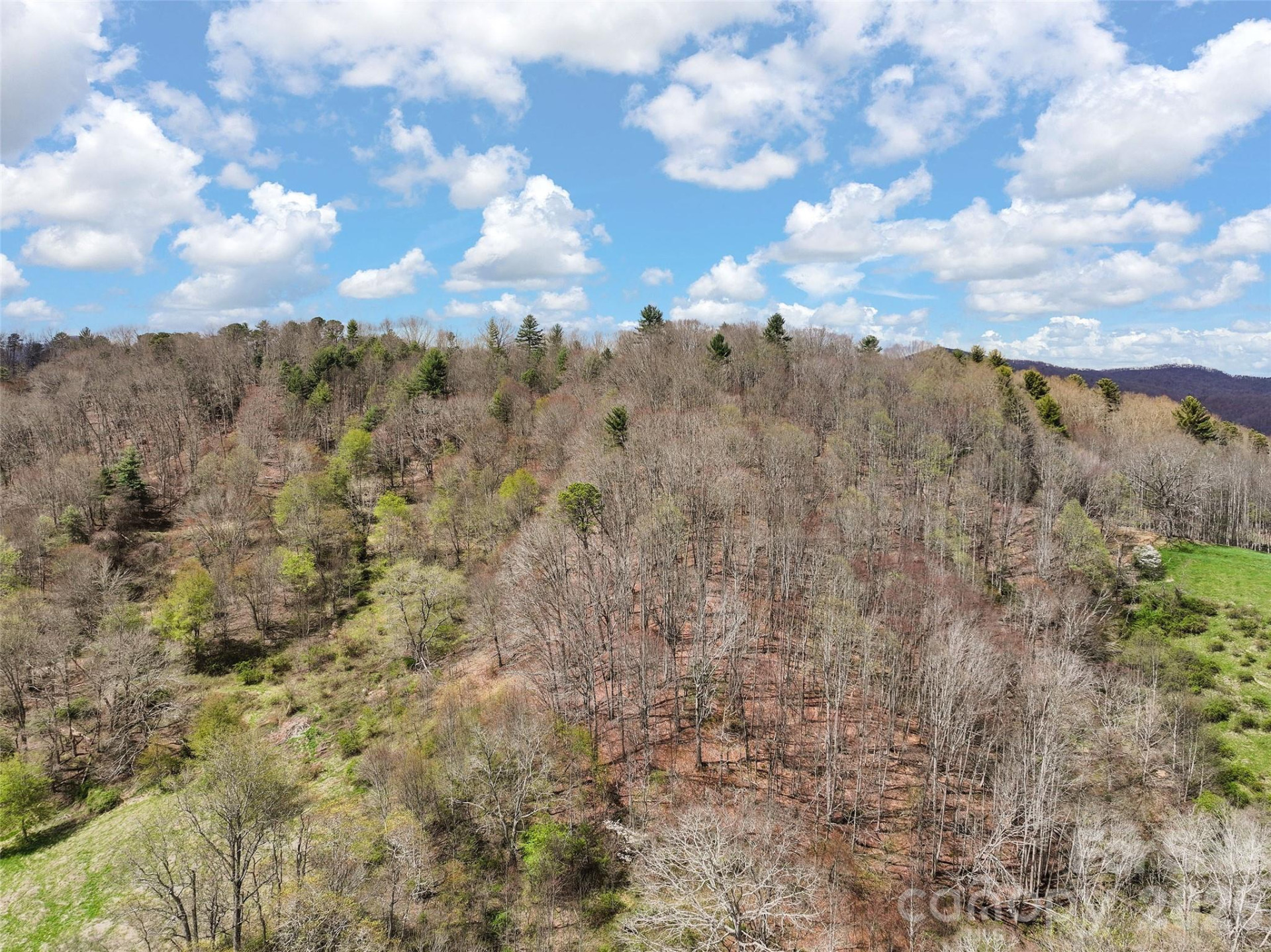 00 Inheritance Mountain Road - Photo 18