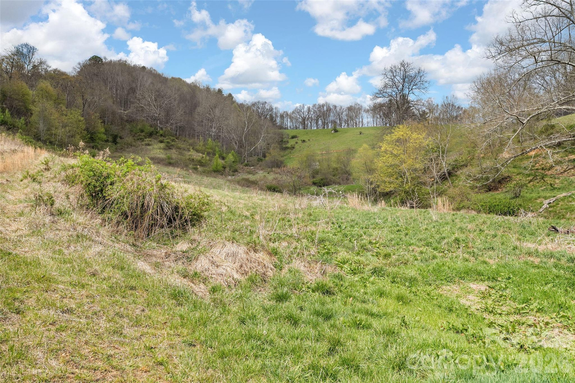 00 Inheritance Mountain Road - Photo 4