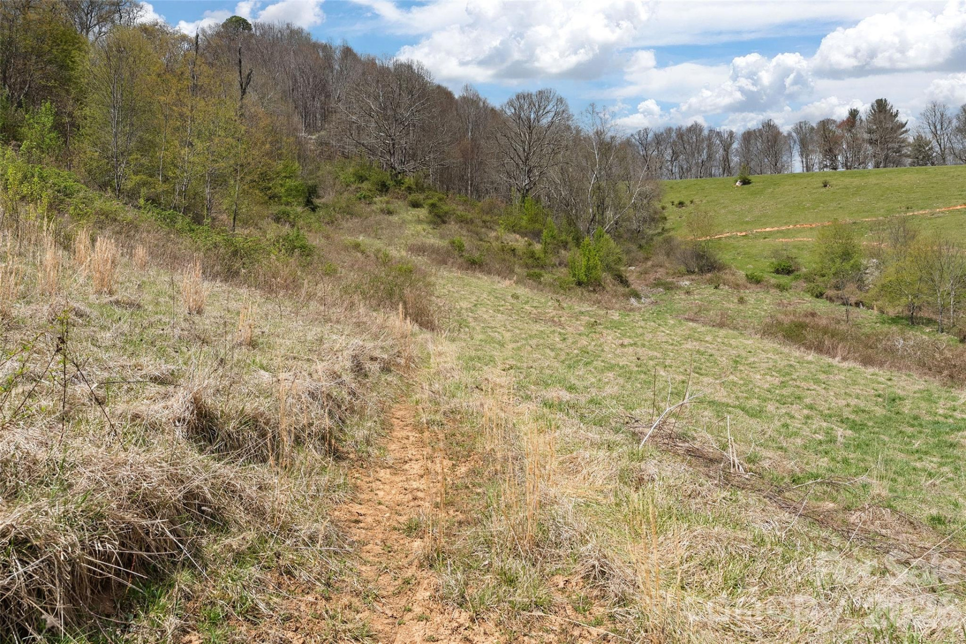 00 Inheritance Mountain Road - Photo 7