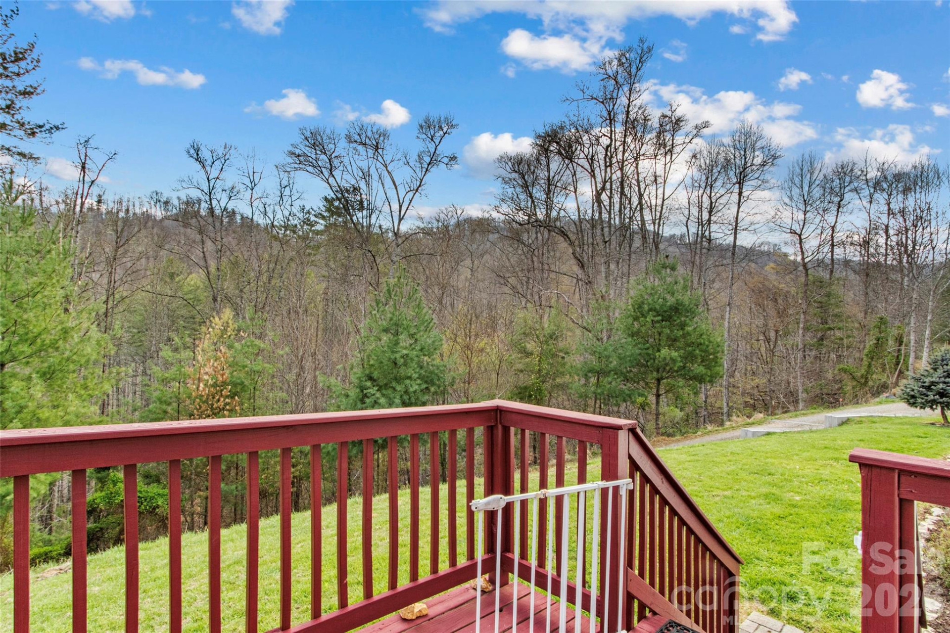 155 Thunderstruck Ridge - Photo 4