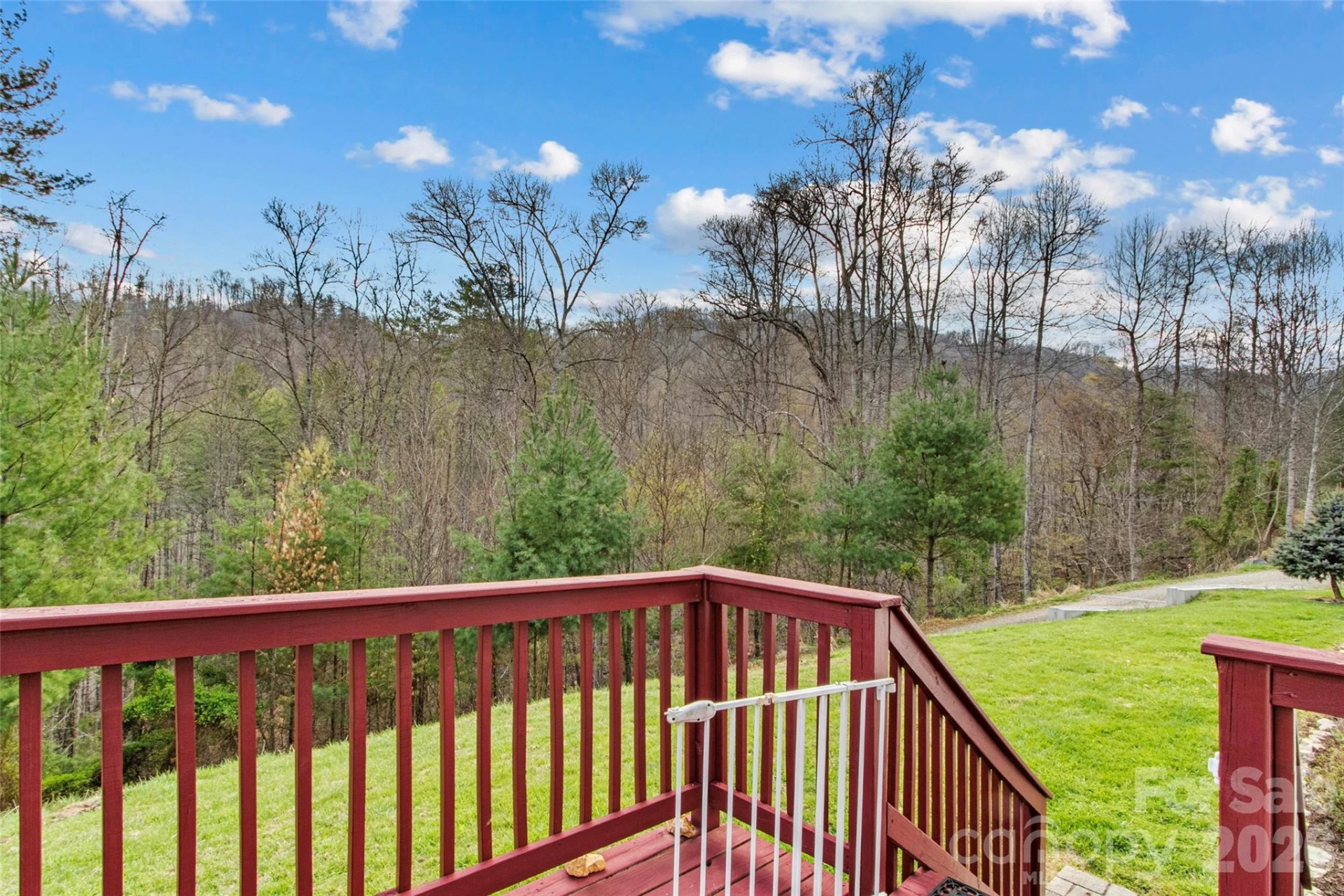 155 Thunderstruck Ridge - Photo 4