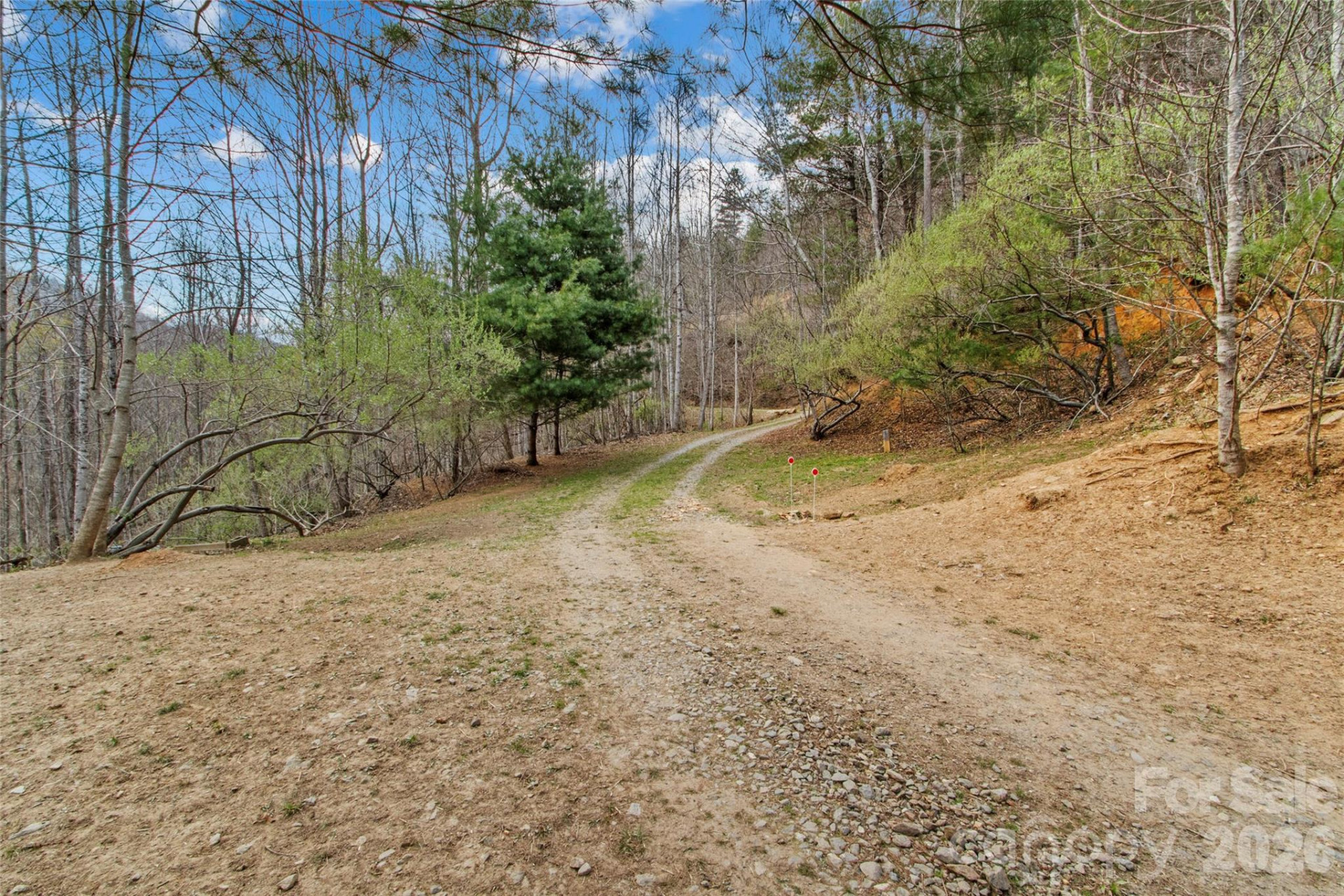 155 Thunderstruck Ridge - Photo 42