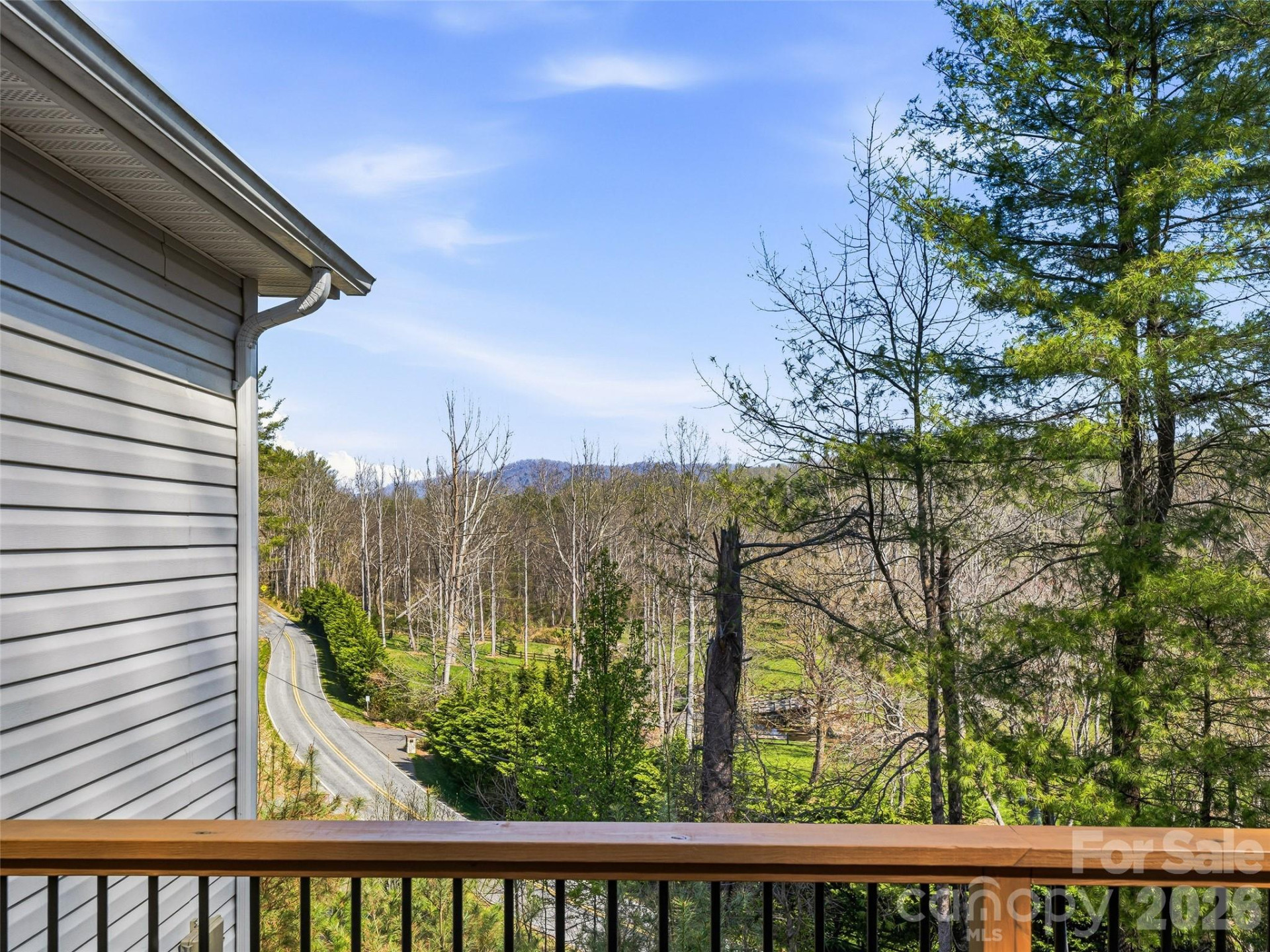 150 White Pine Drive - Photo 4