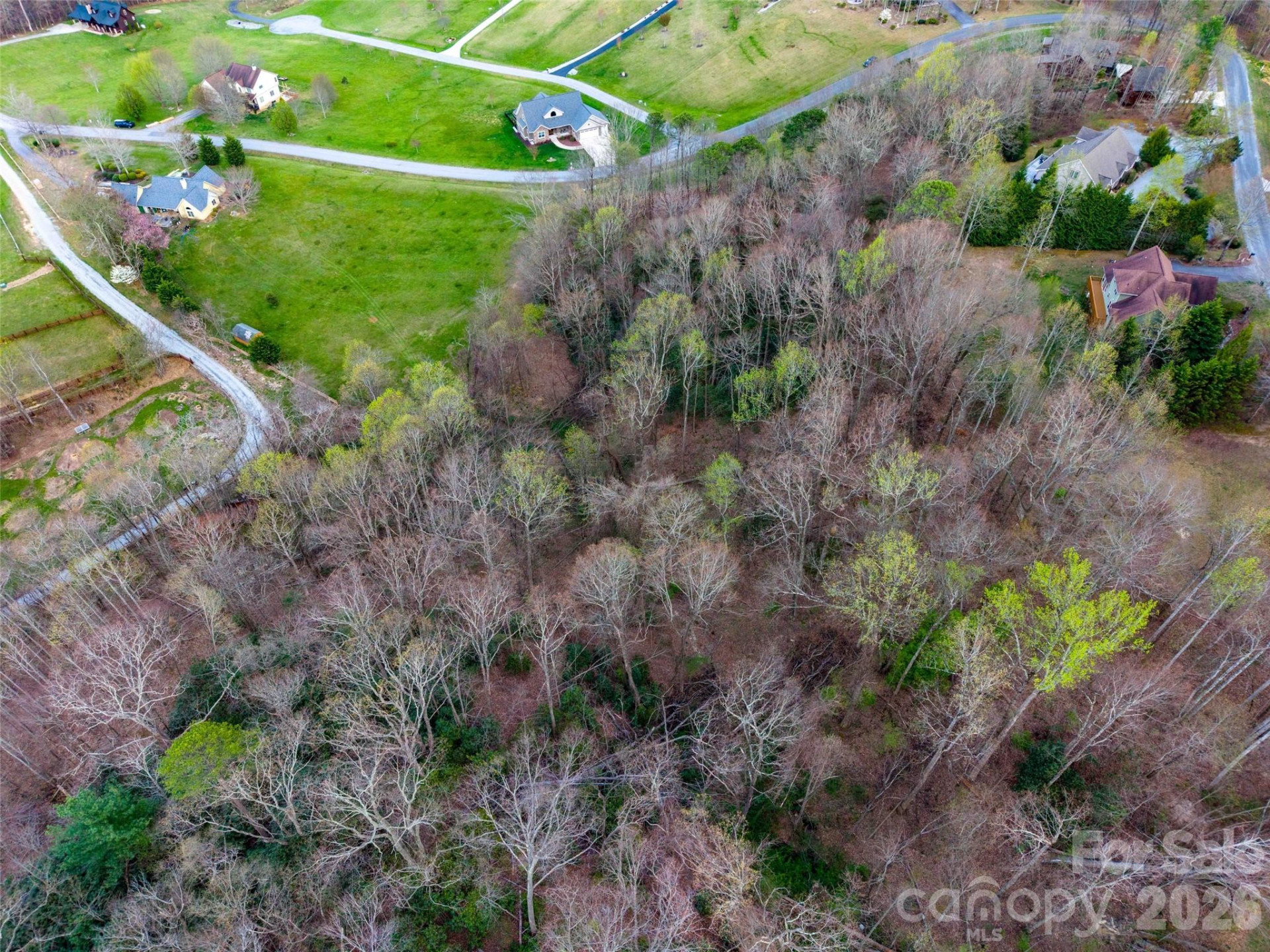 340 Grand Oaks Drive - Photo 13