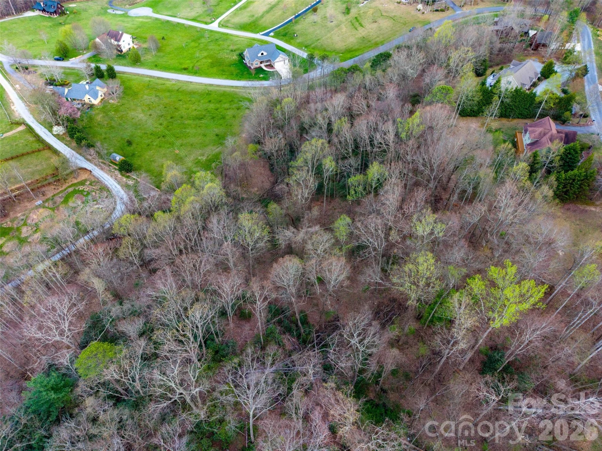 340 Grand Oaks Drive - Photo 13