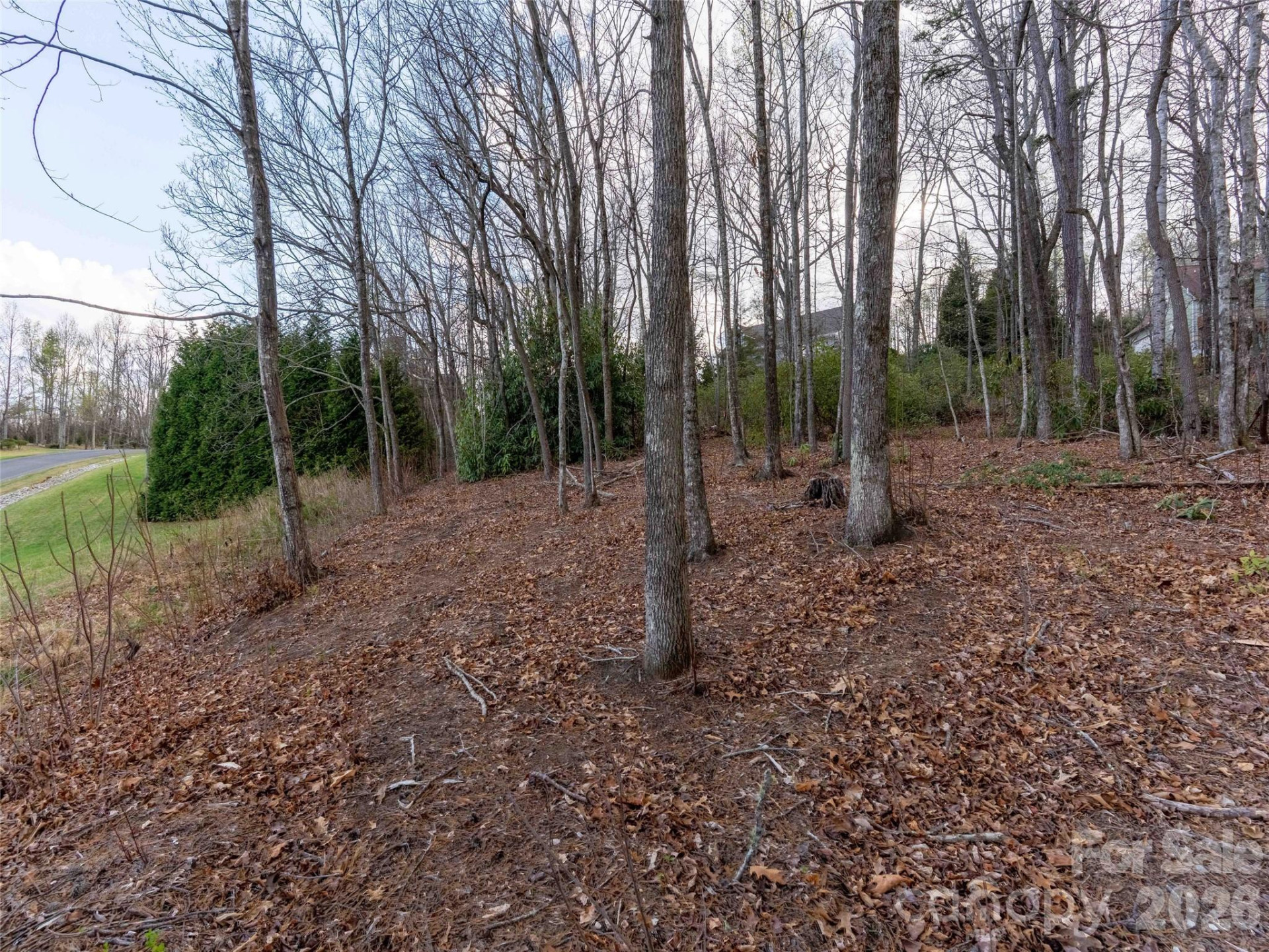 340 Grand Oaks Drive - Photo 6