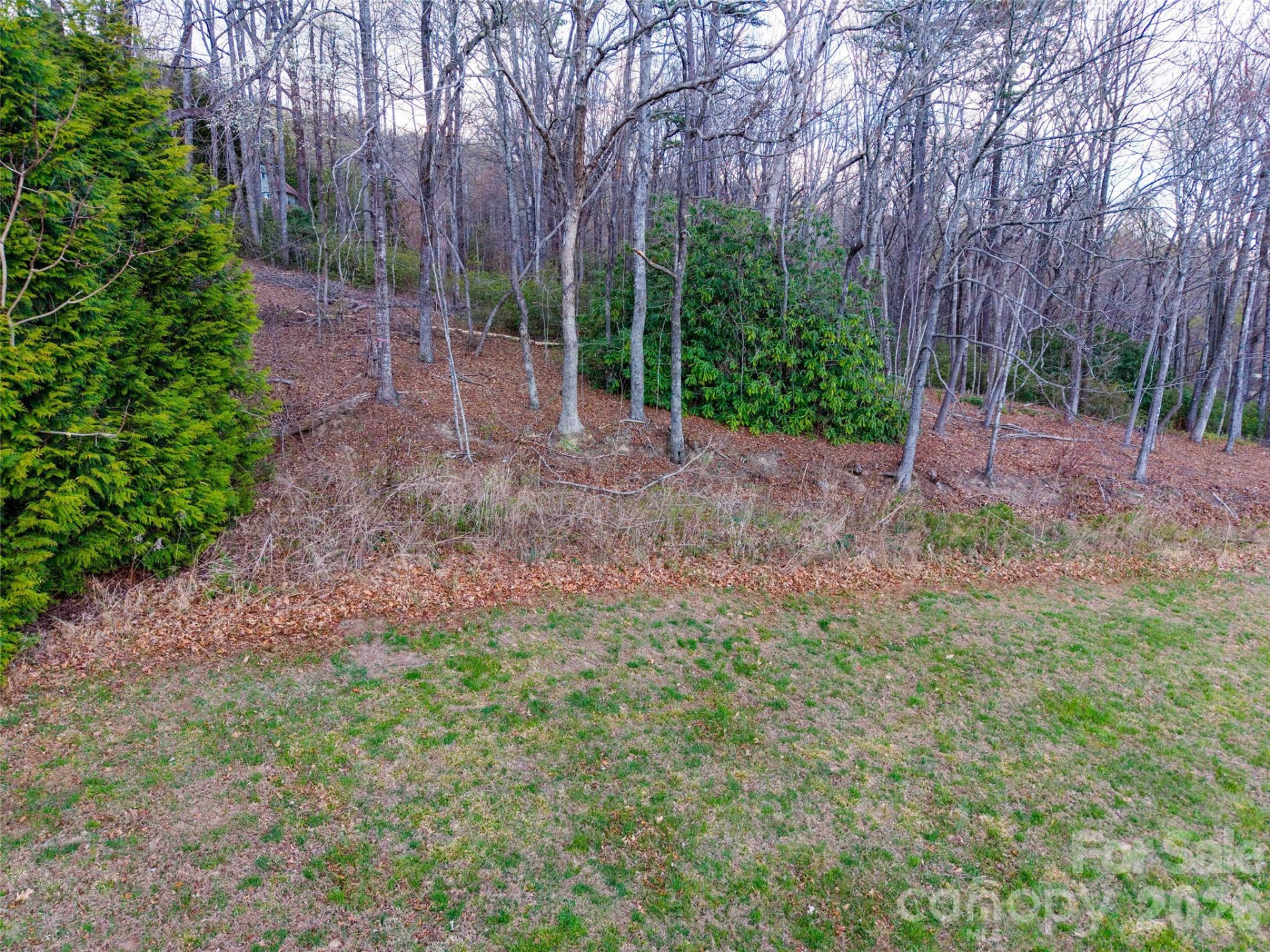 340 Grand Oaks Drive - Photo 8