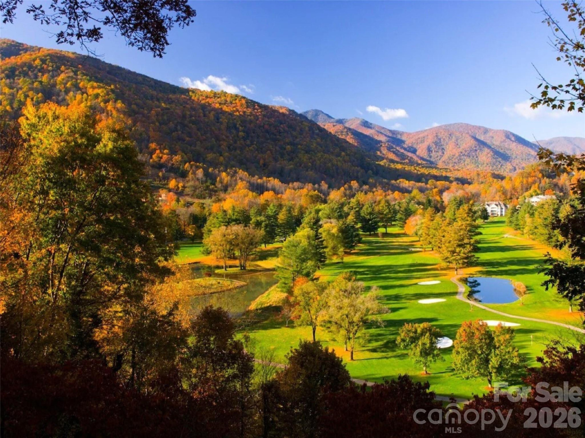 505 Middle Top Loop - Photo 17