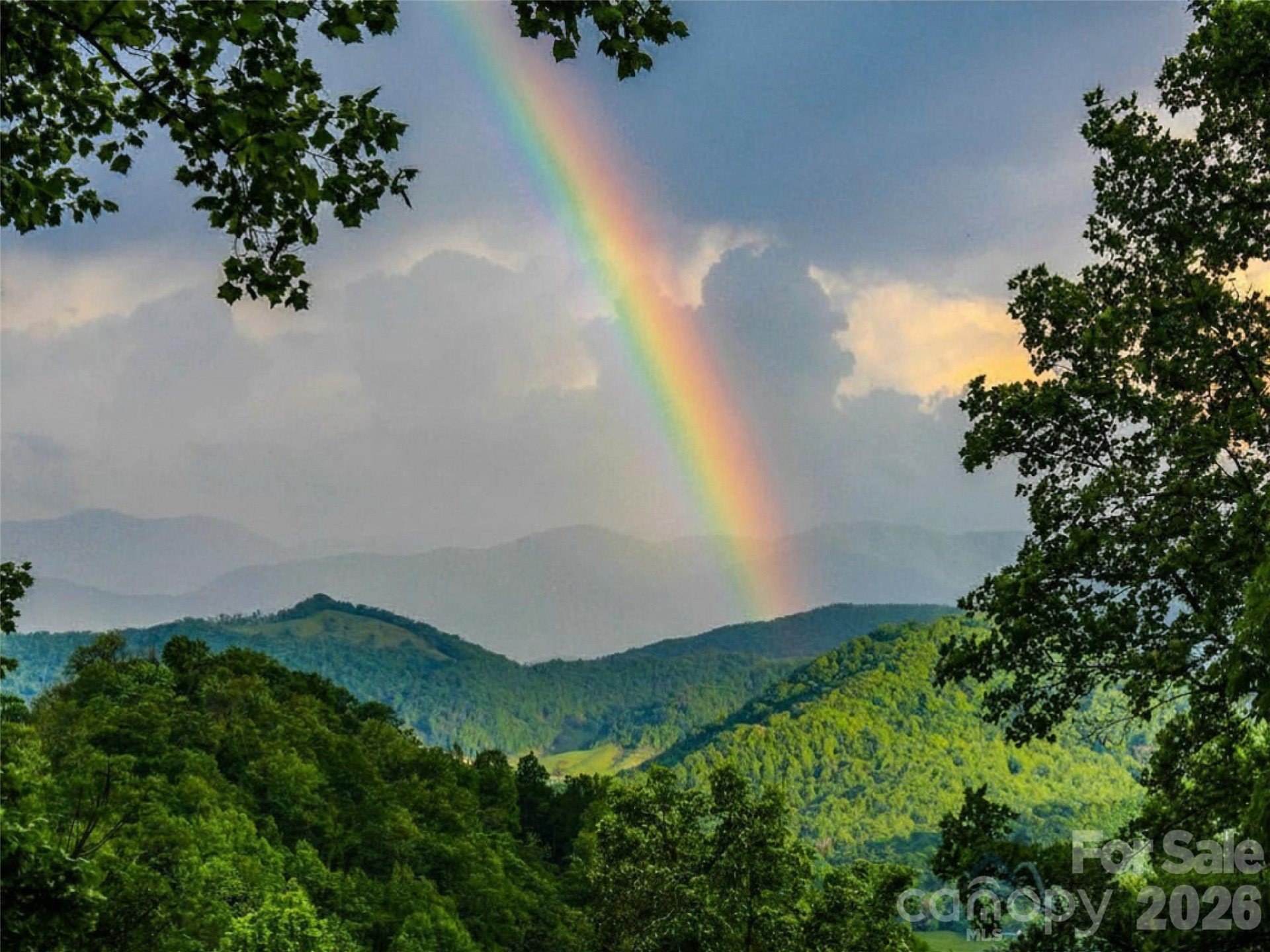 505 Middle Top Loop - Photo 3