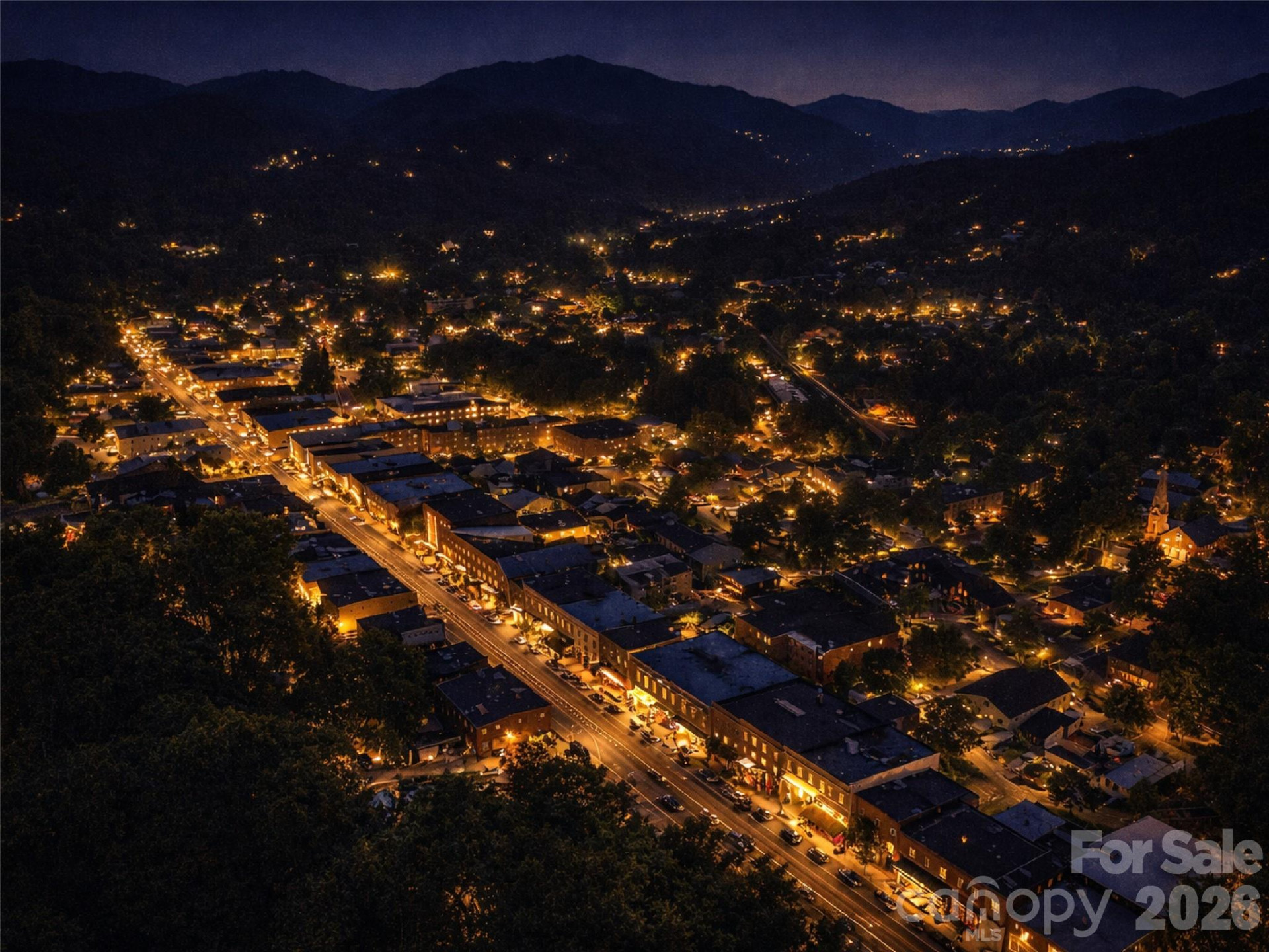 505 Middle Top Loop - Photo 30