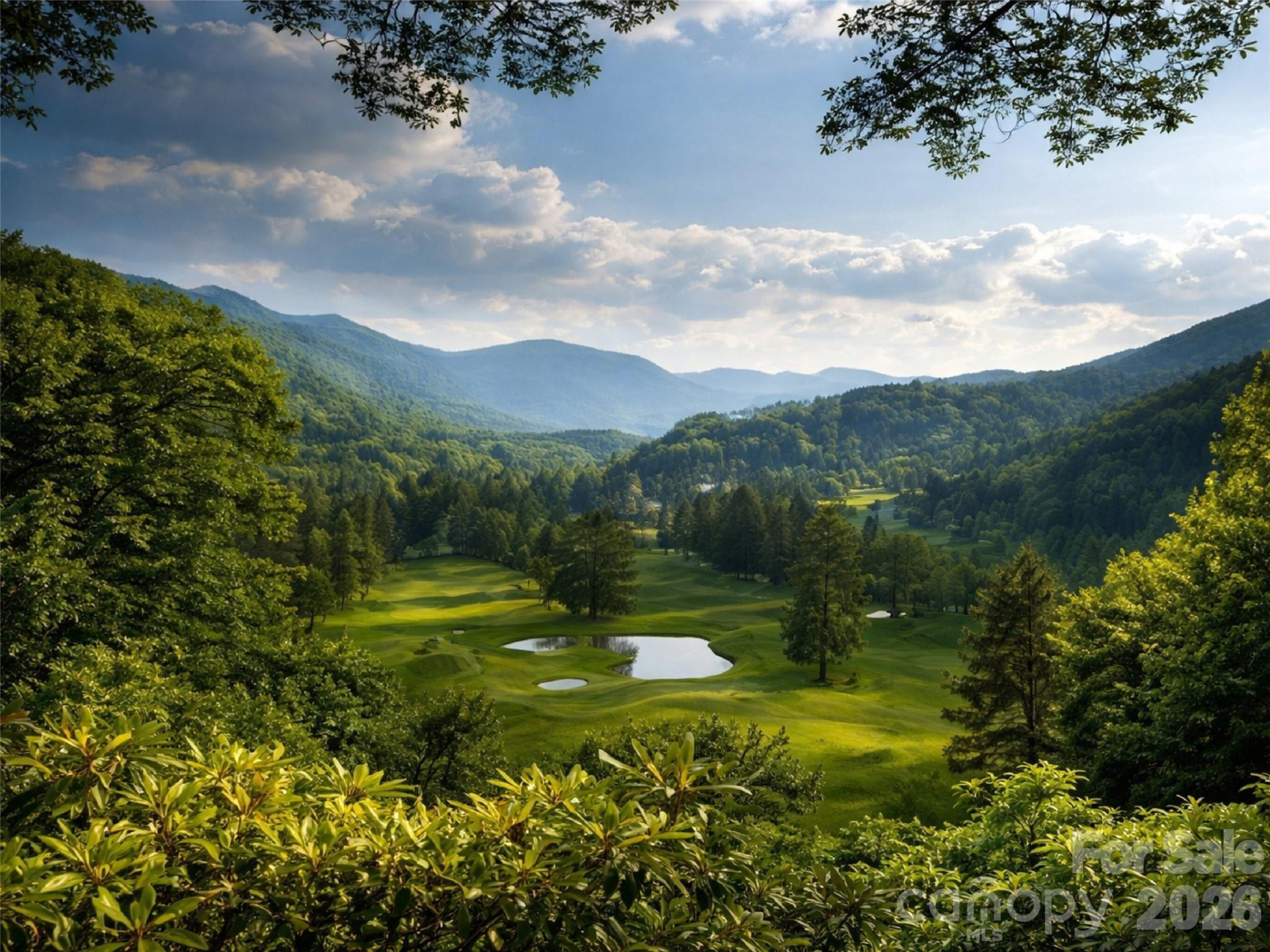 505 Middle Top Loop - Photo 33