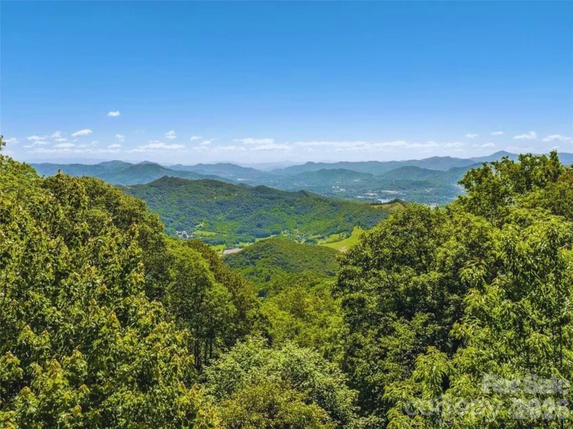505 Middle Top Loop - Photo 6