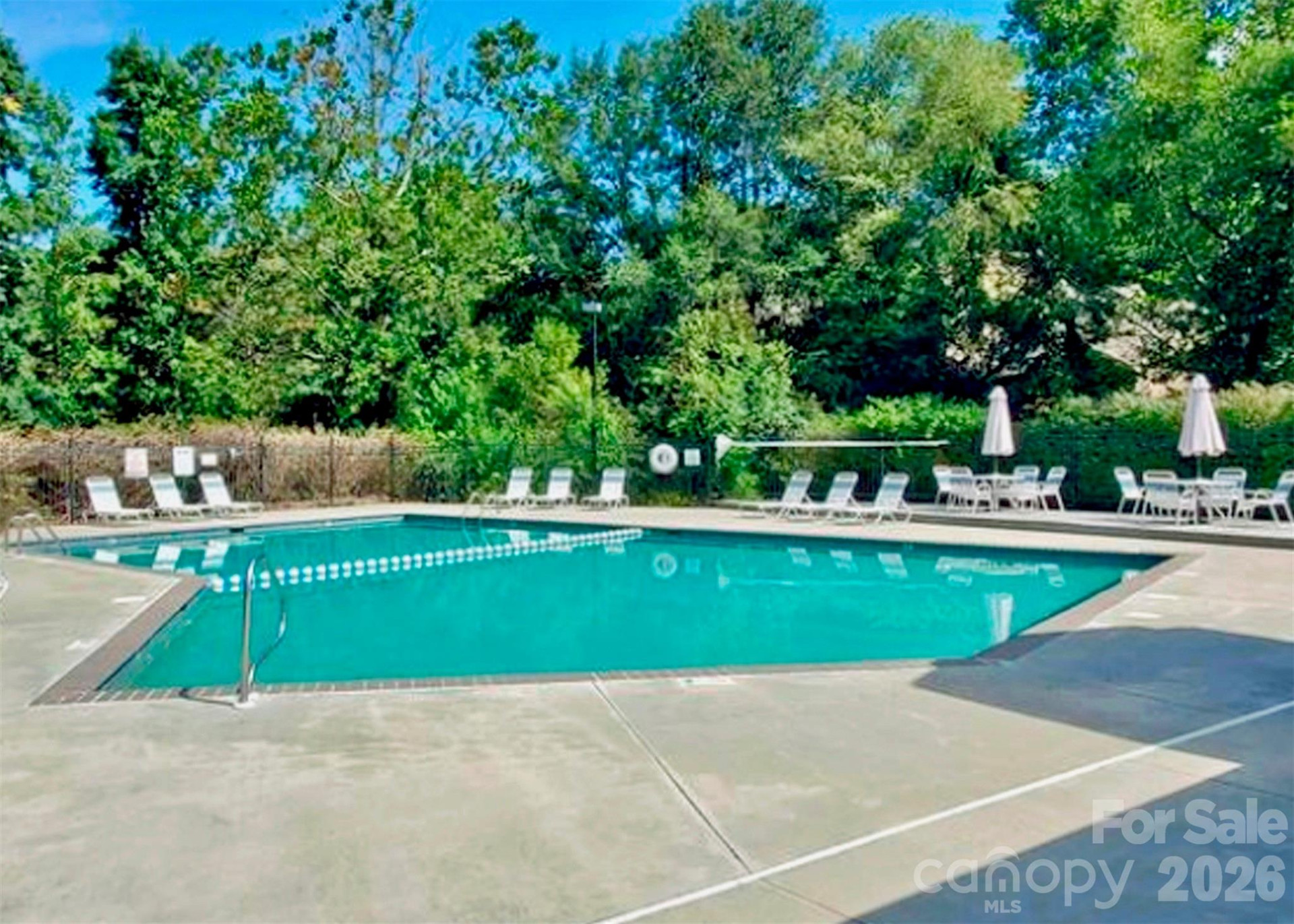 6 Willow Tree Run - Photo 25