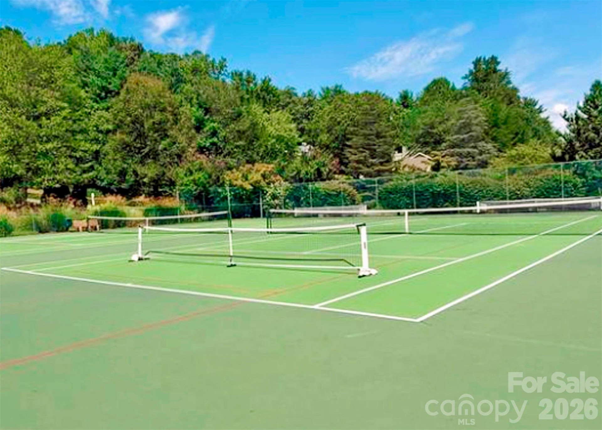 6 Willow Tree Run - Photo 26