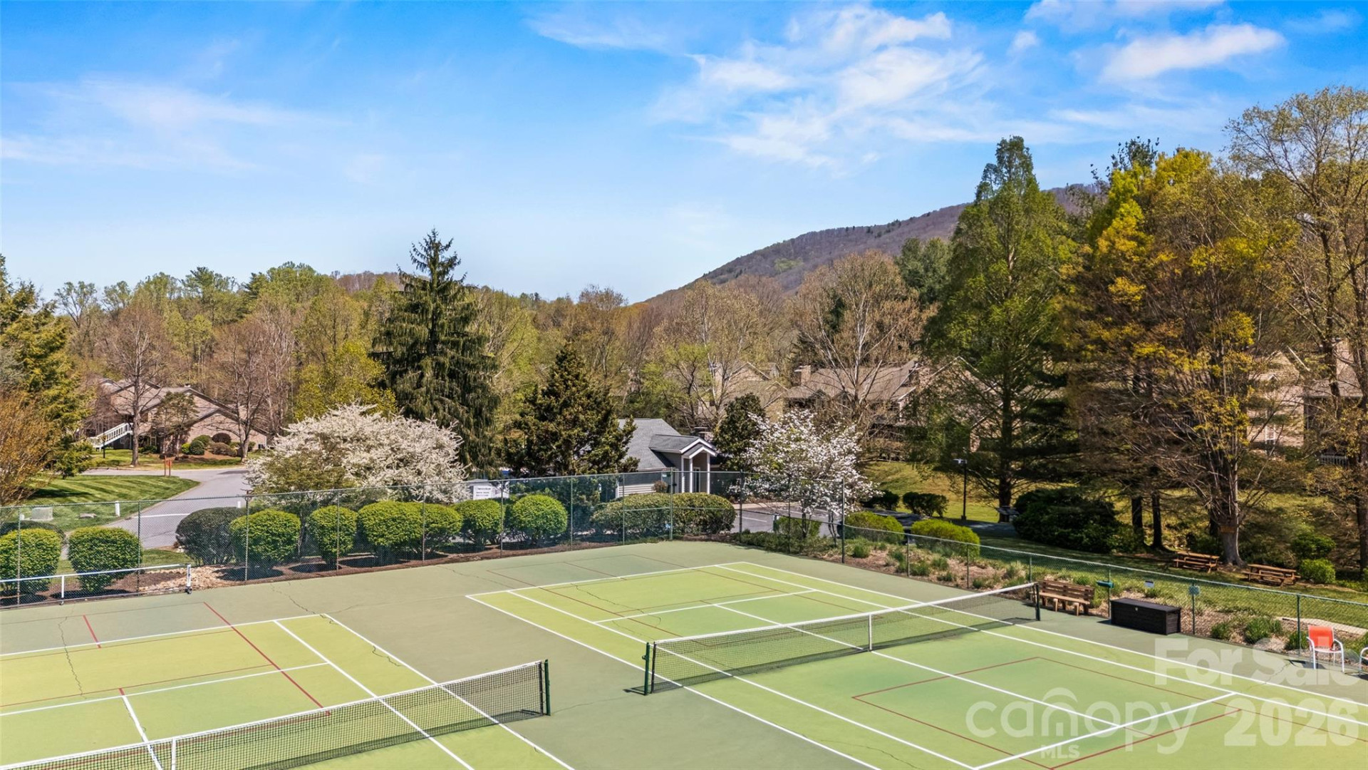 6 Willow Tree Run - Photo 33