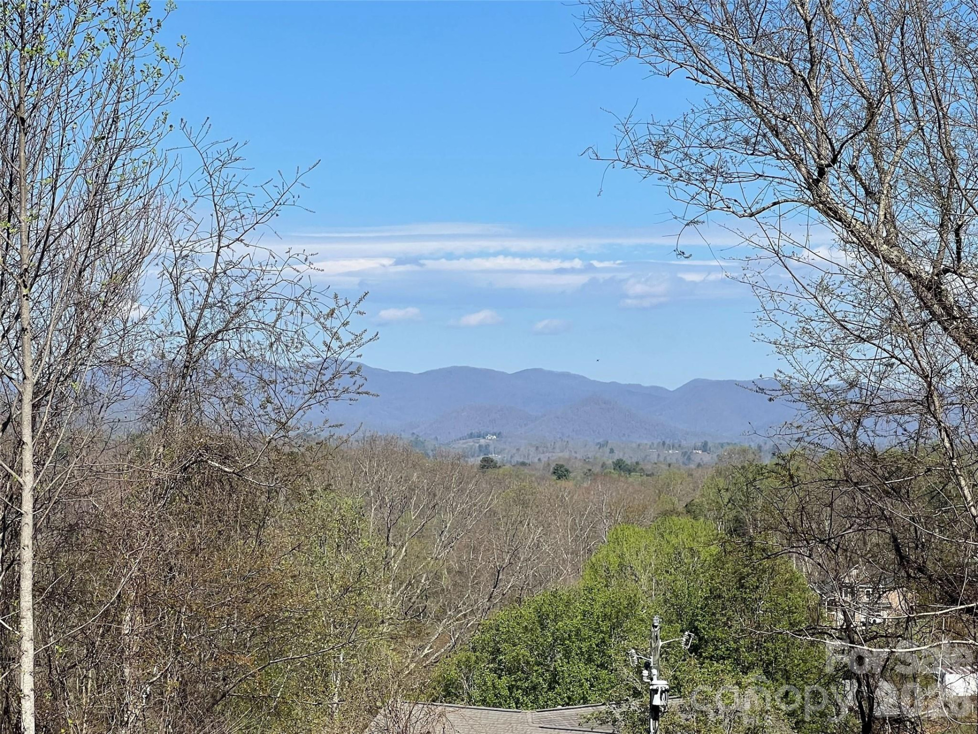 118 Max View Drive - Photo 3