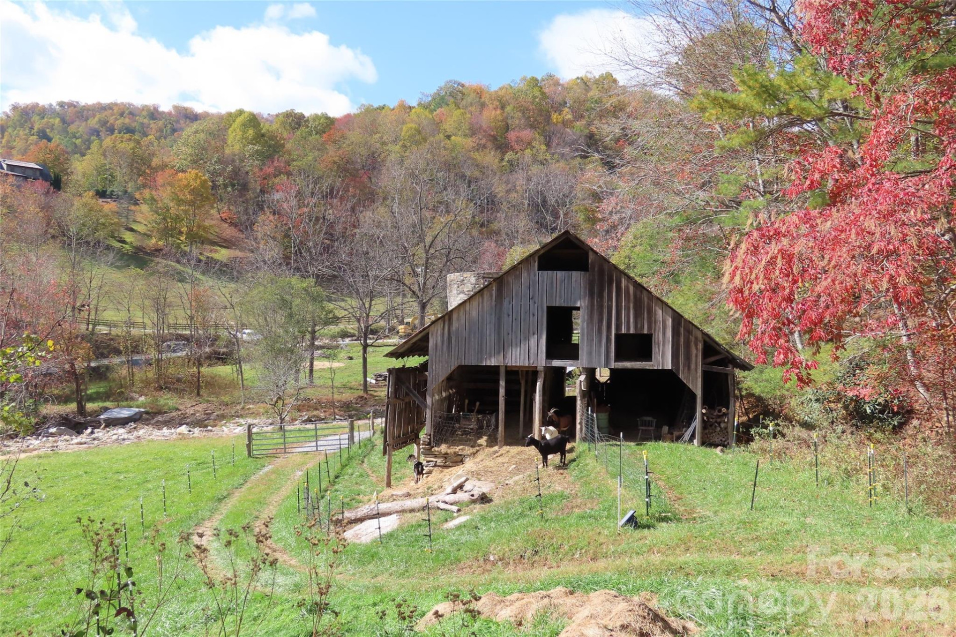 1422 Middle Fork Road - Photo 4