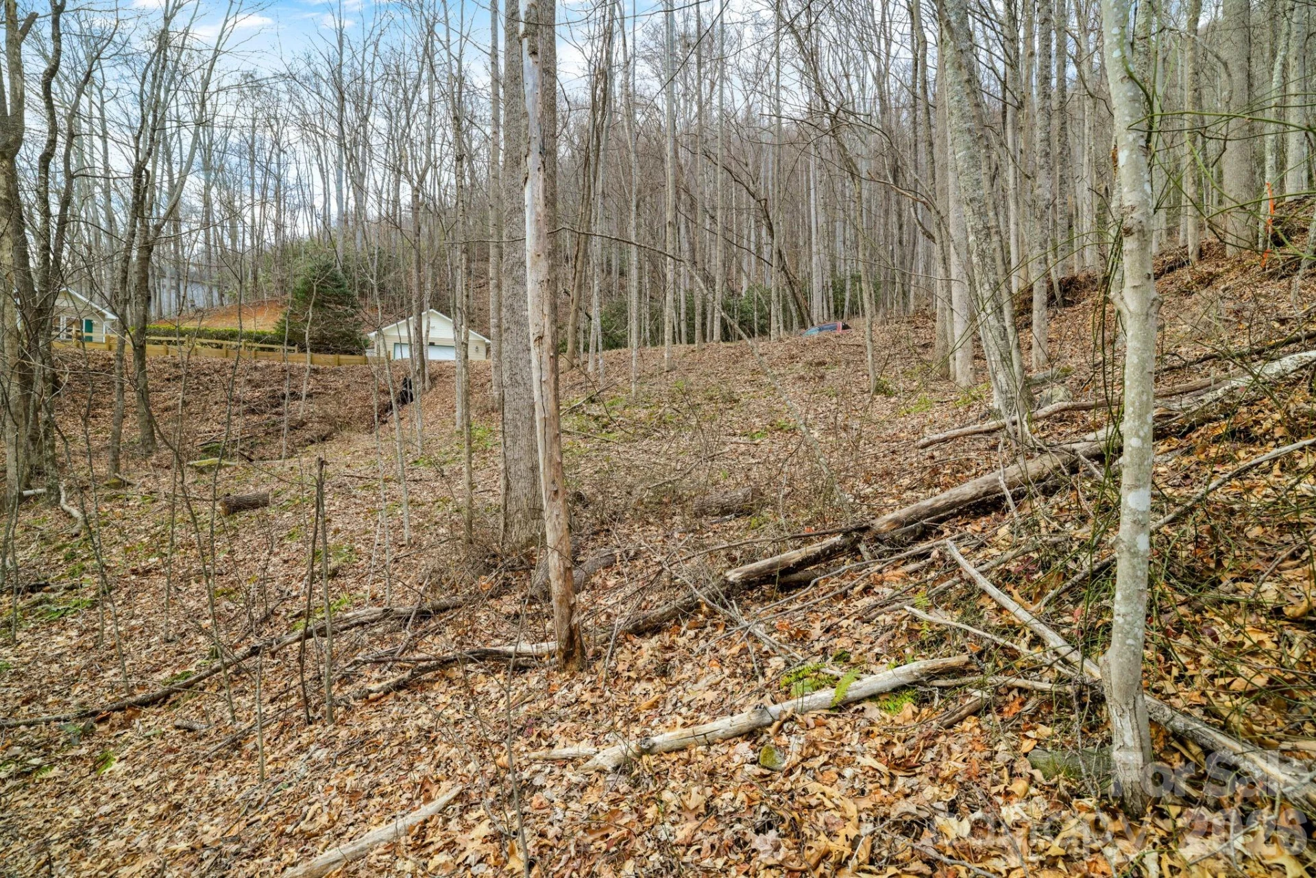 00 Sleepy Hollow Drive #6 - Photo 2