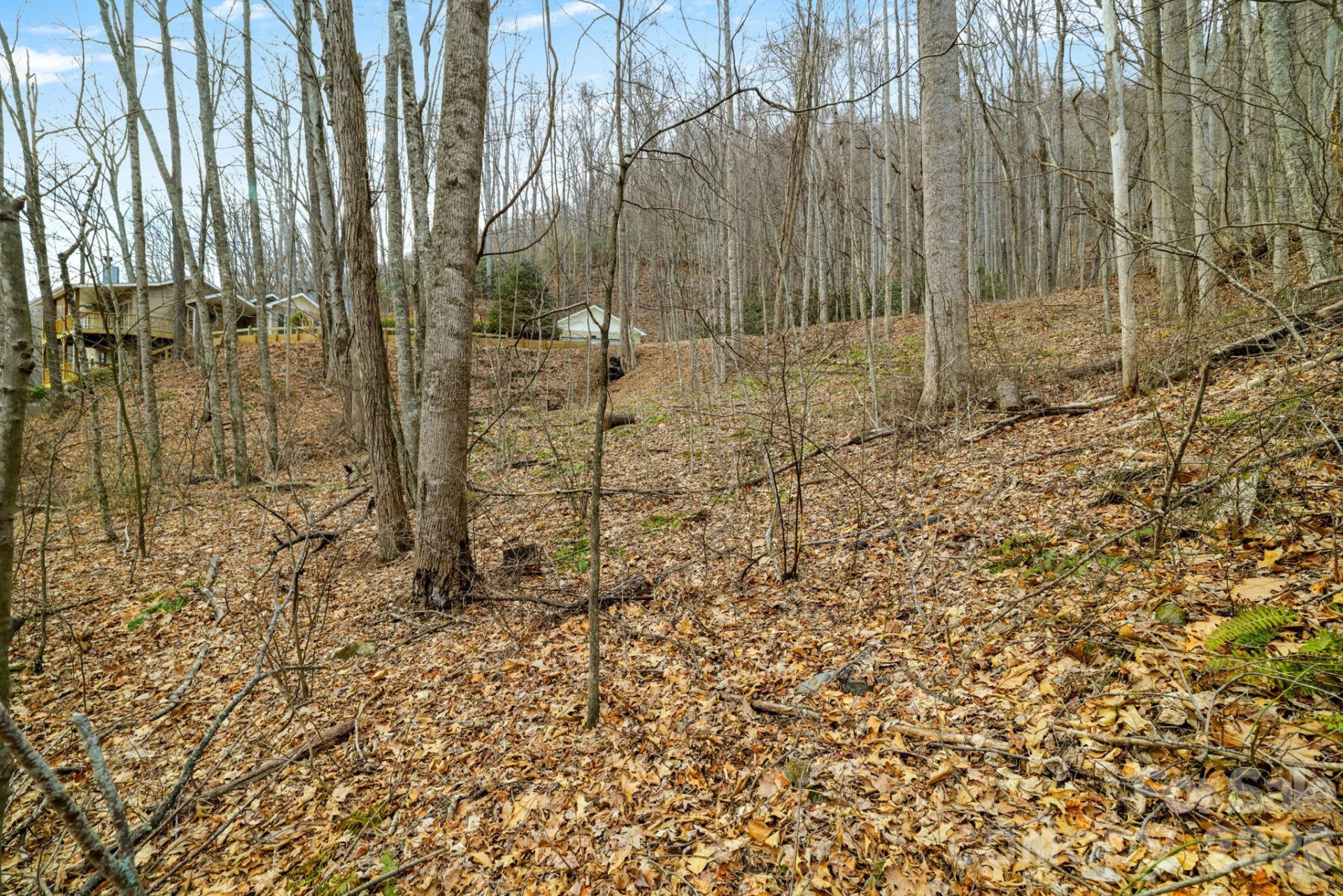 00 Sleepy Hollow Drive #6 - Photo 11