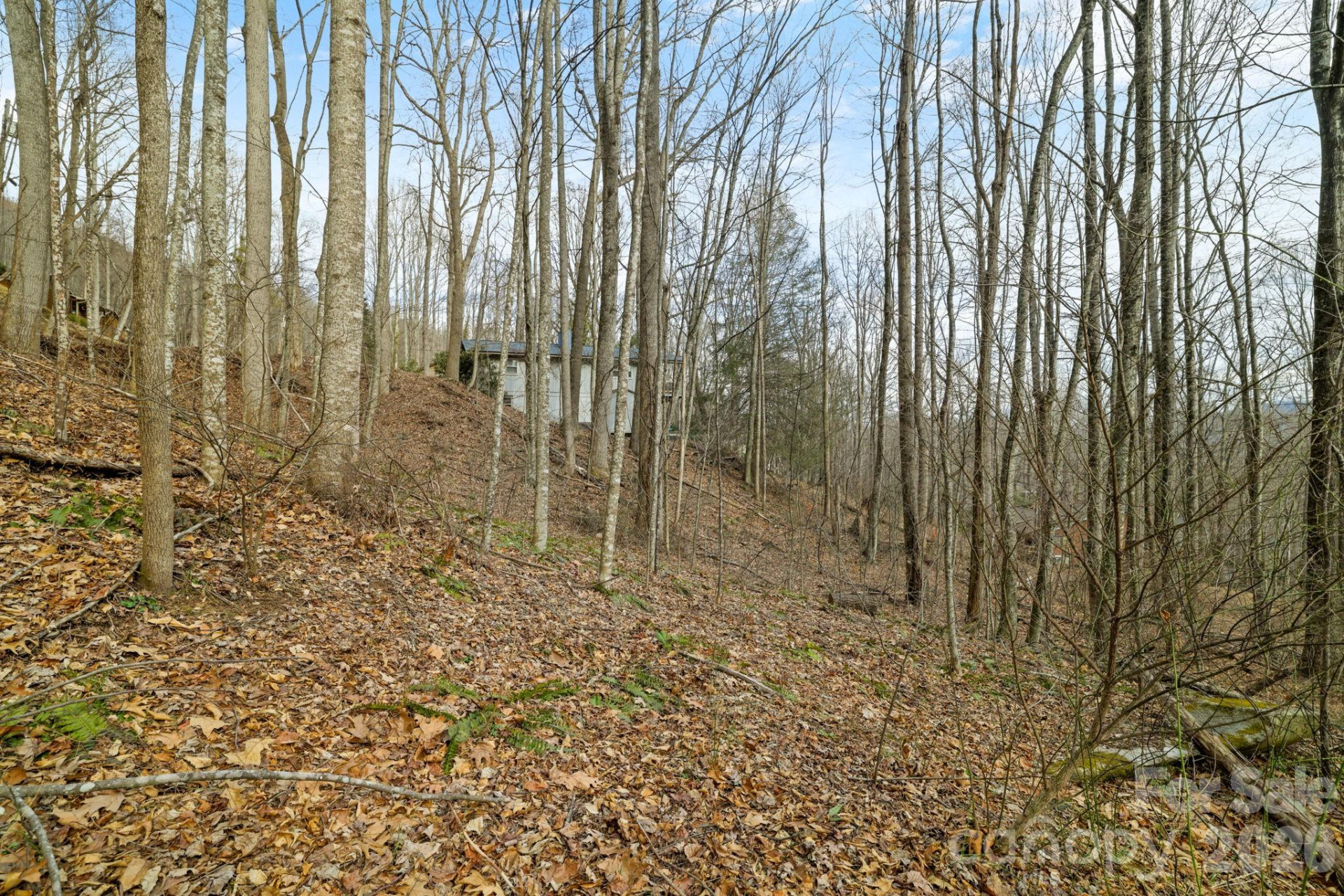 00 Sleepy Hollow Drive #6 - Photo 12