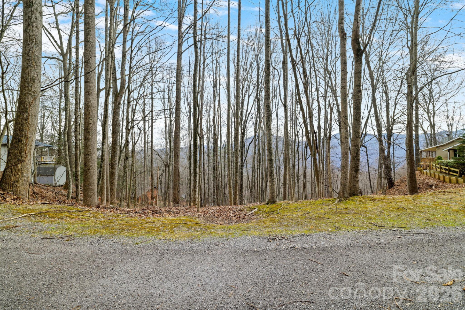 00 Sleepy Hollow Drive #6 - Photo 13