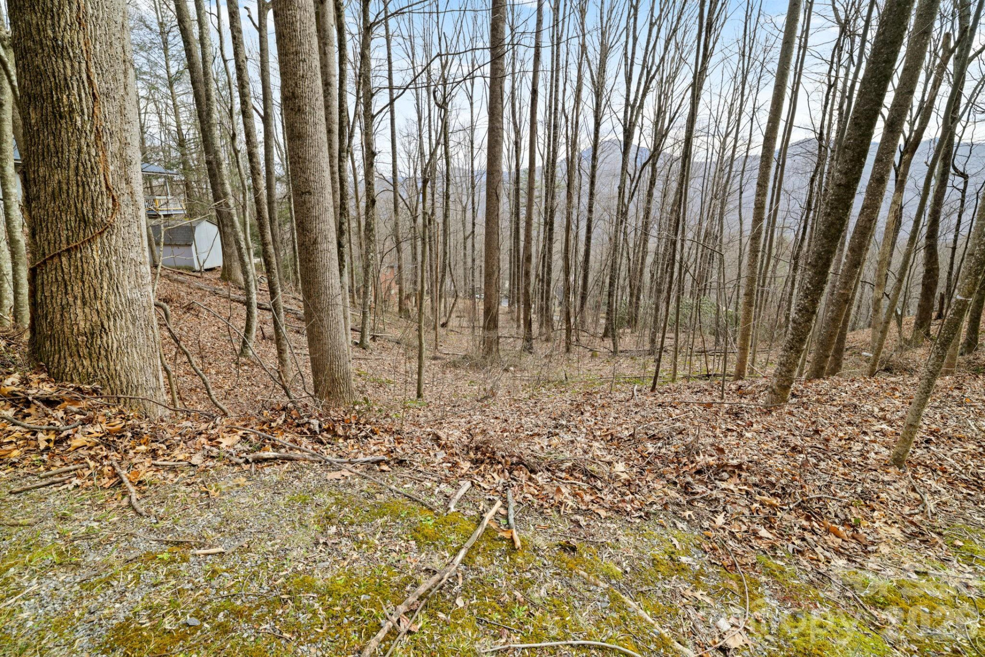 00 Sleepy Hollow Drive #6 - Photo 7