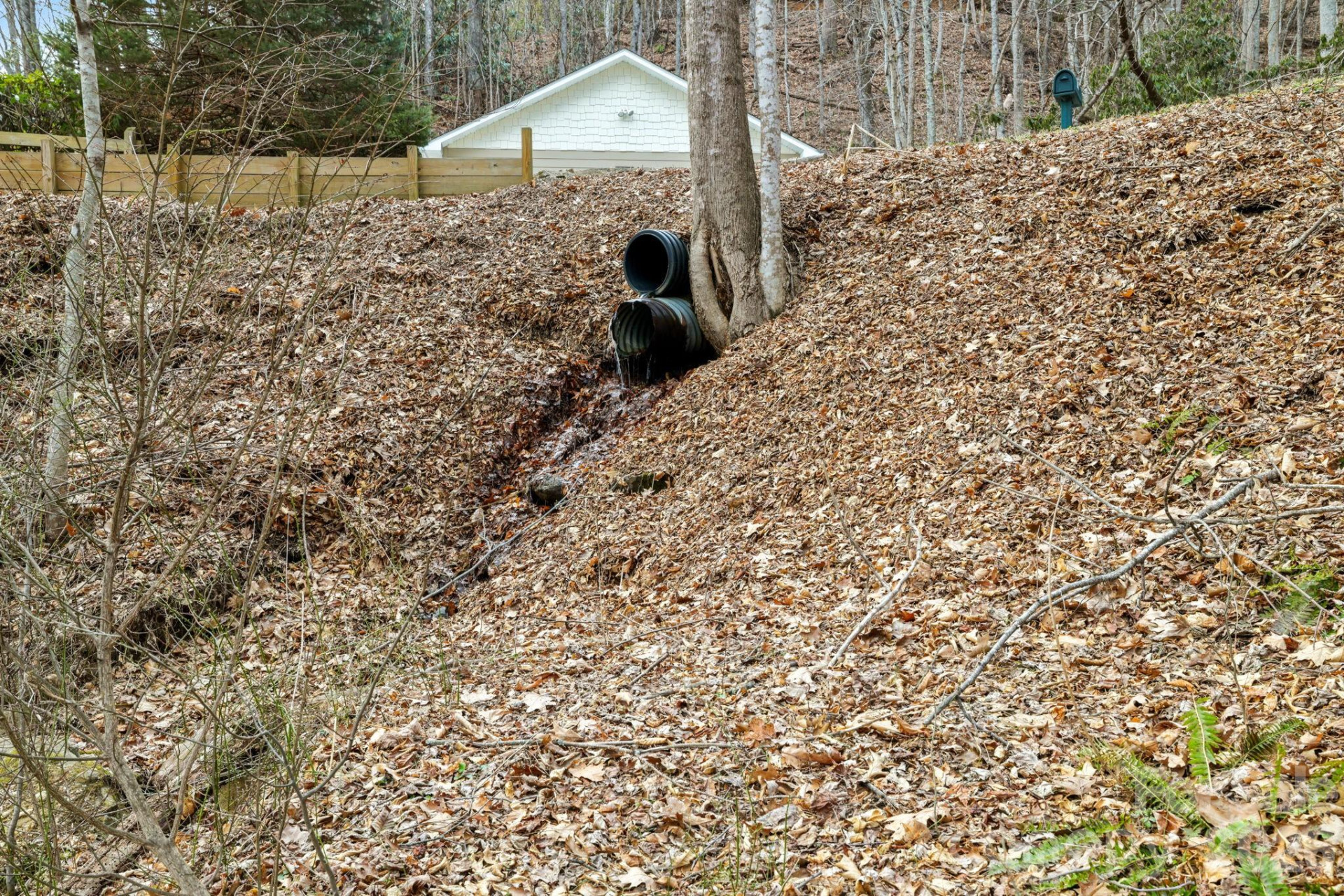 00 Sleepy Hollow Drive #6 - Photo 8