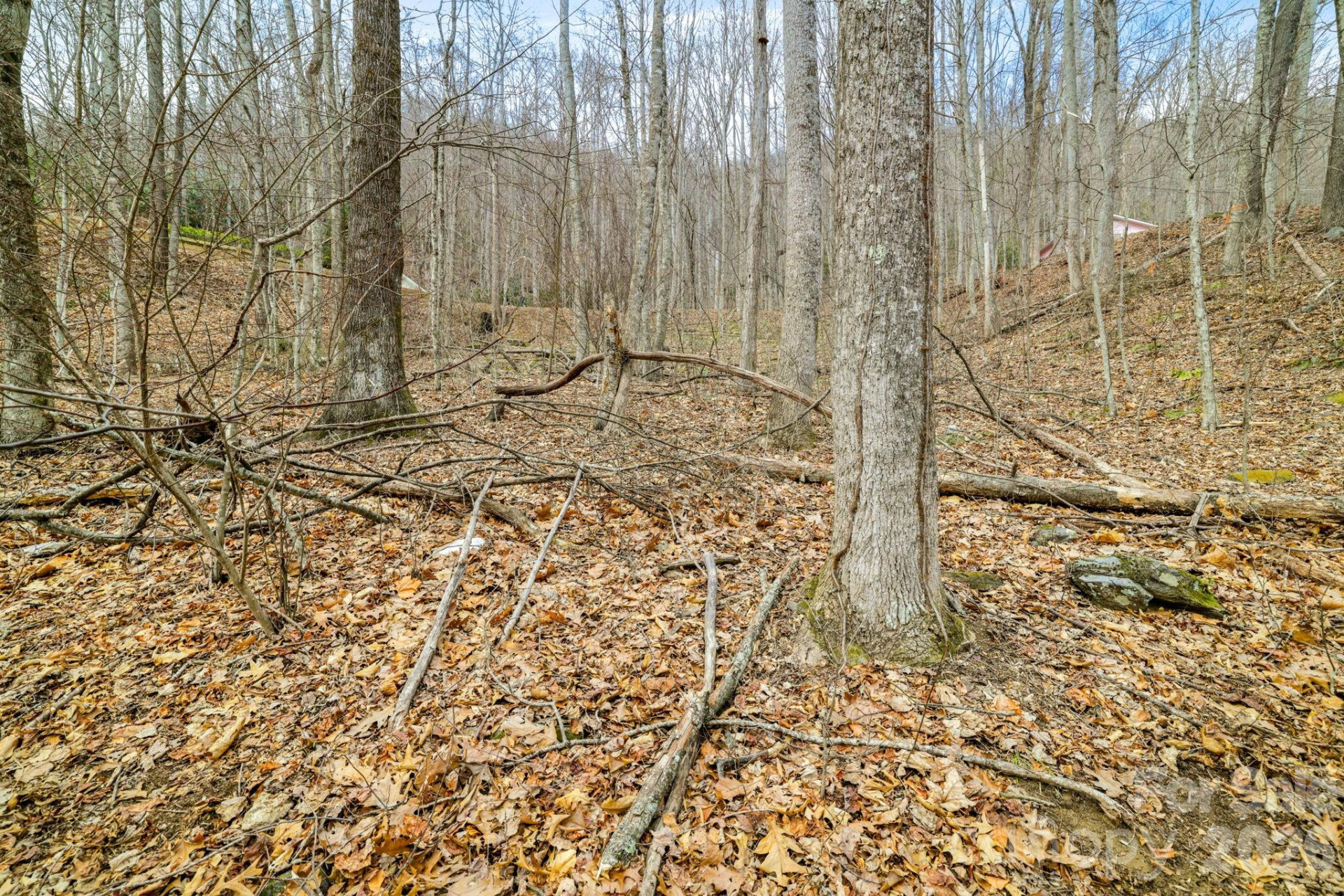 00 Sleepy Hollow Drive #6 - Photo 9