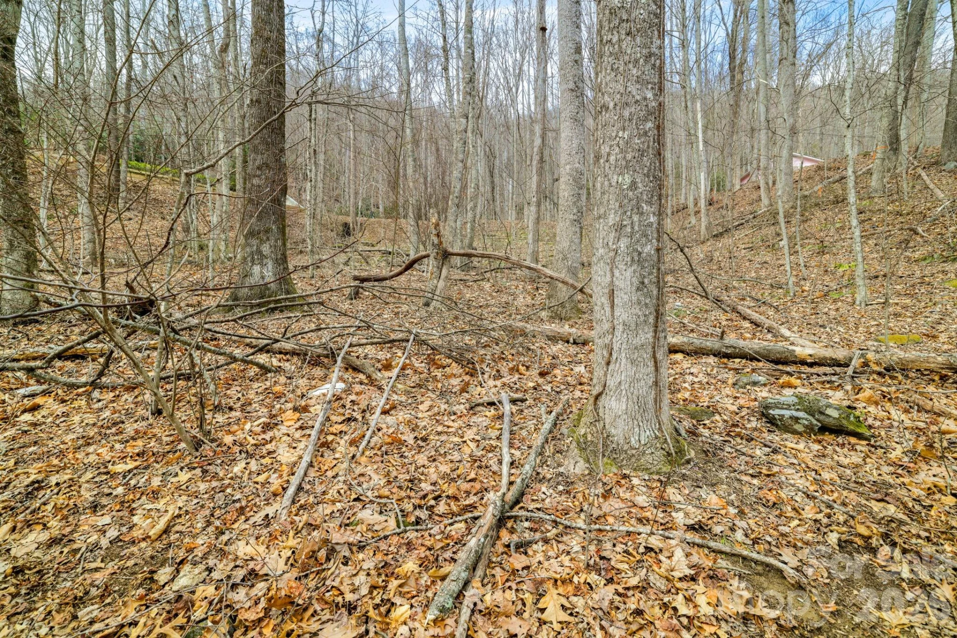 00 Sleepy Hollow Drive #6 - Photo 9