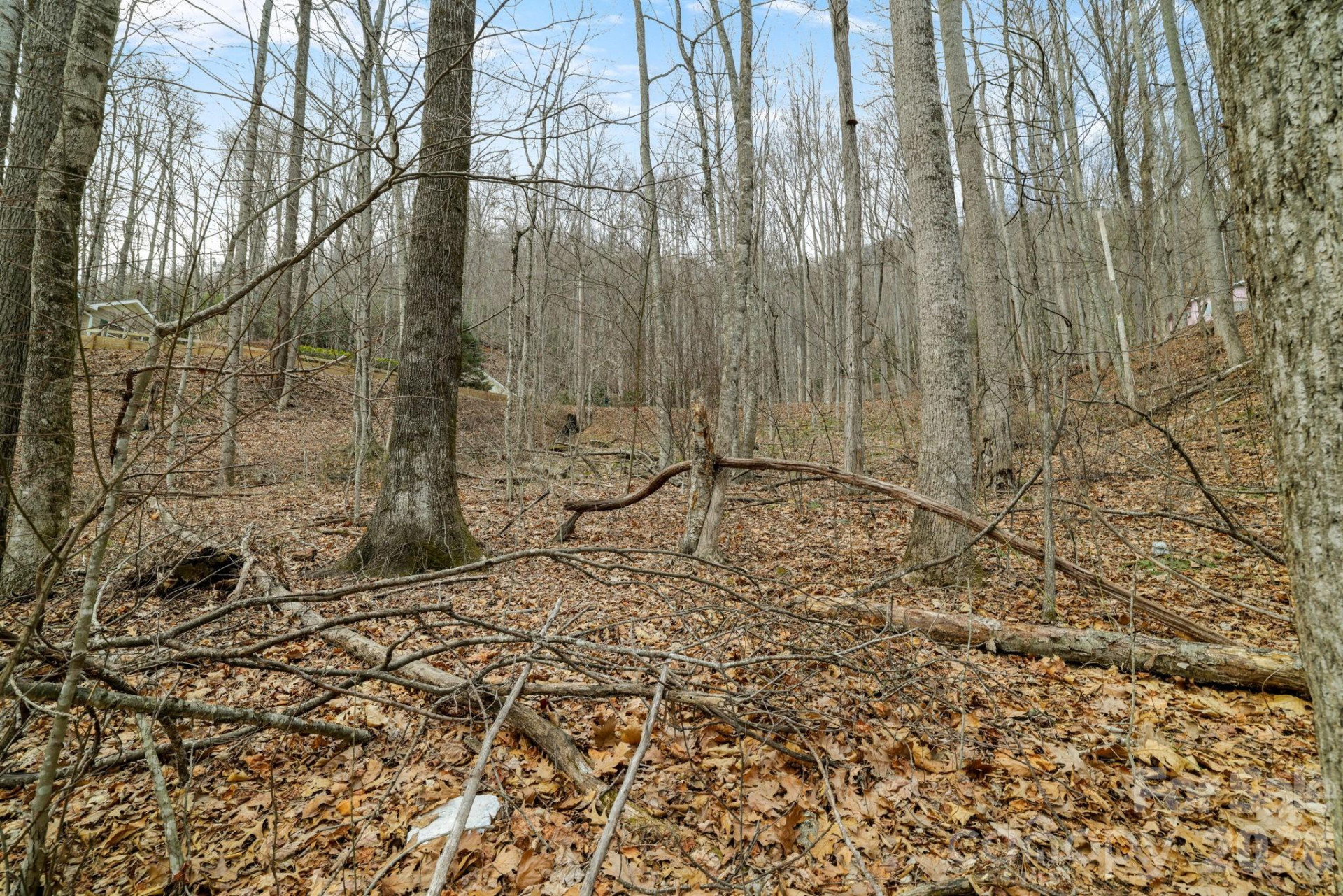 00 Sleepy Hollow Drive #6 - Photo 10