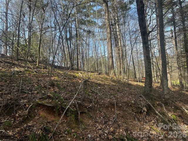 00 Saw Mill Hollow, Burnsville, NC, 28714