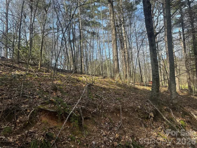00 Saw Mill Hollow