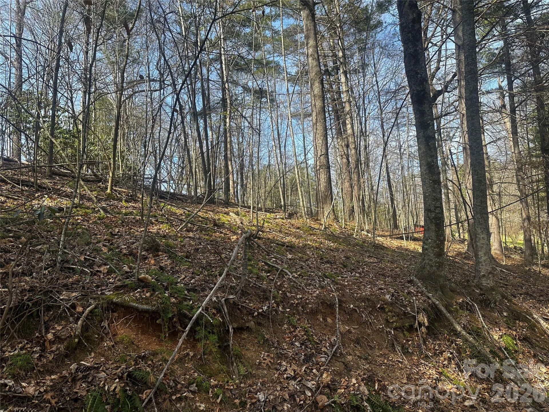 00 Saw Mill Hollow