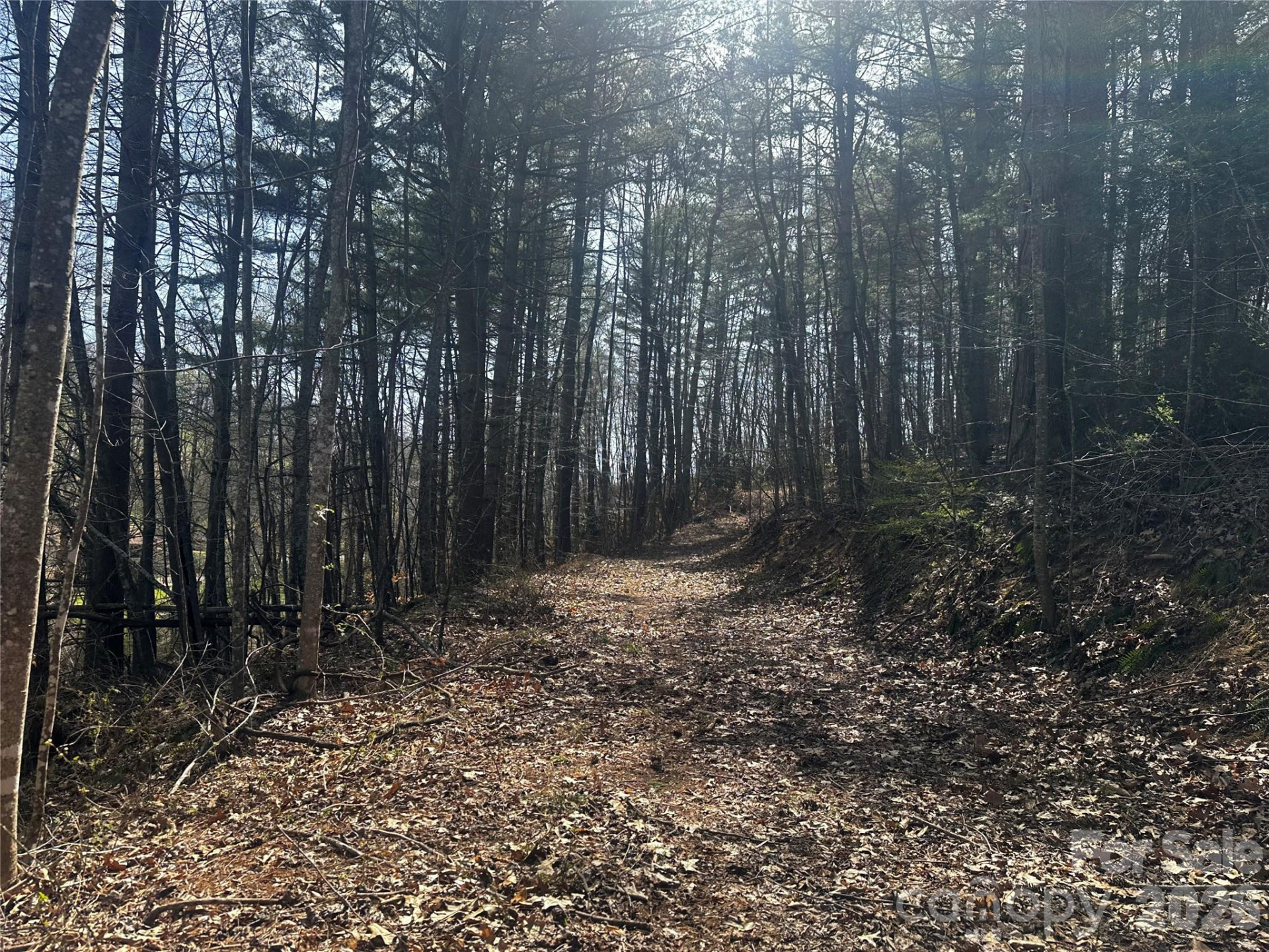 00 Saw Mill Hollow - Photo 2