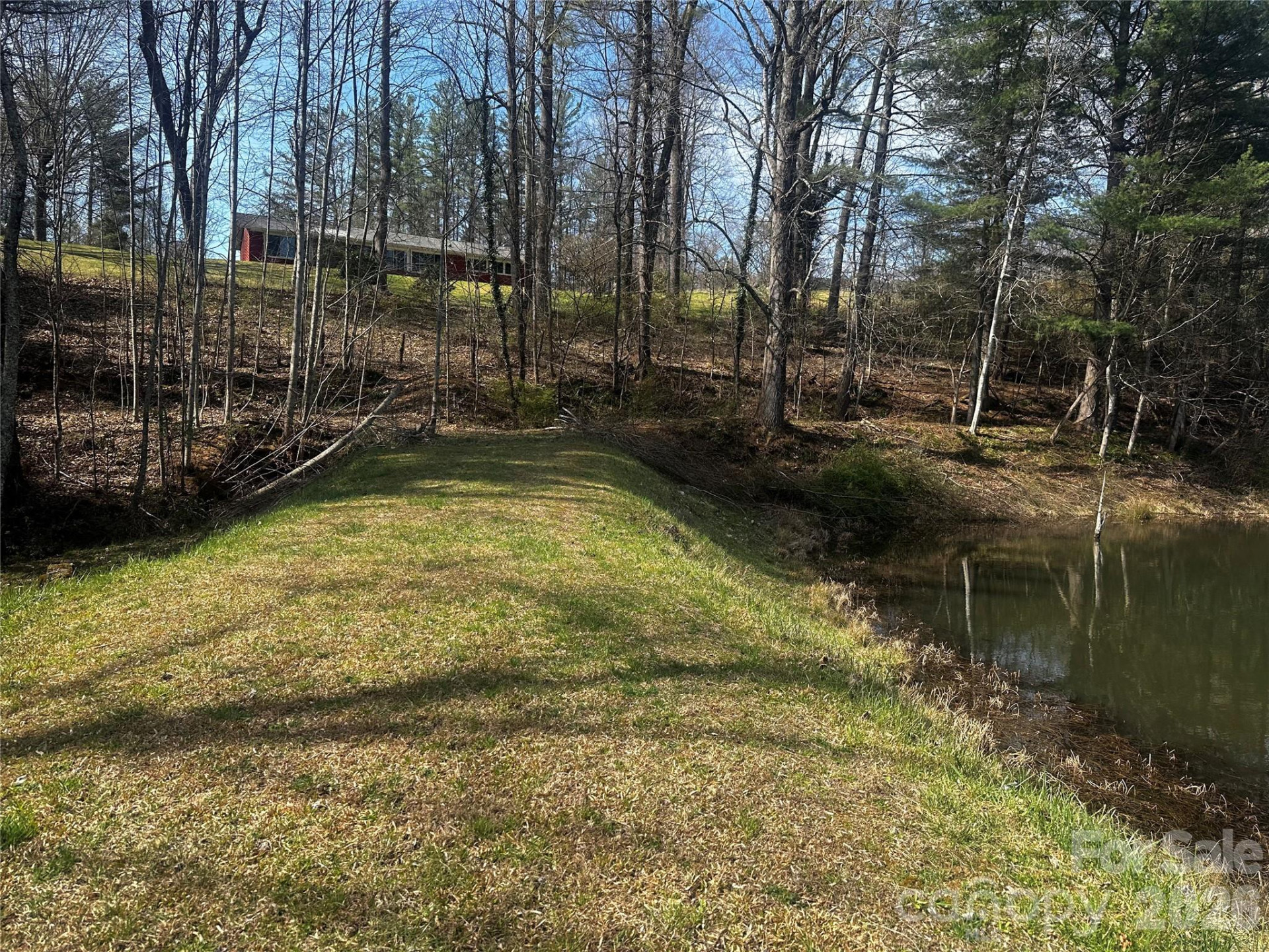 00 Saw Mill Hollow - Photo 11